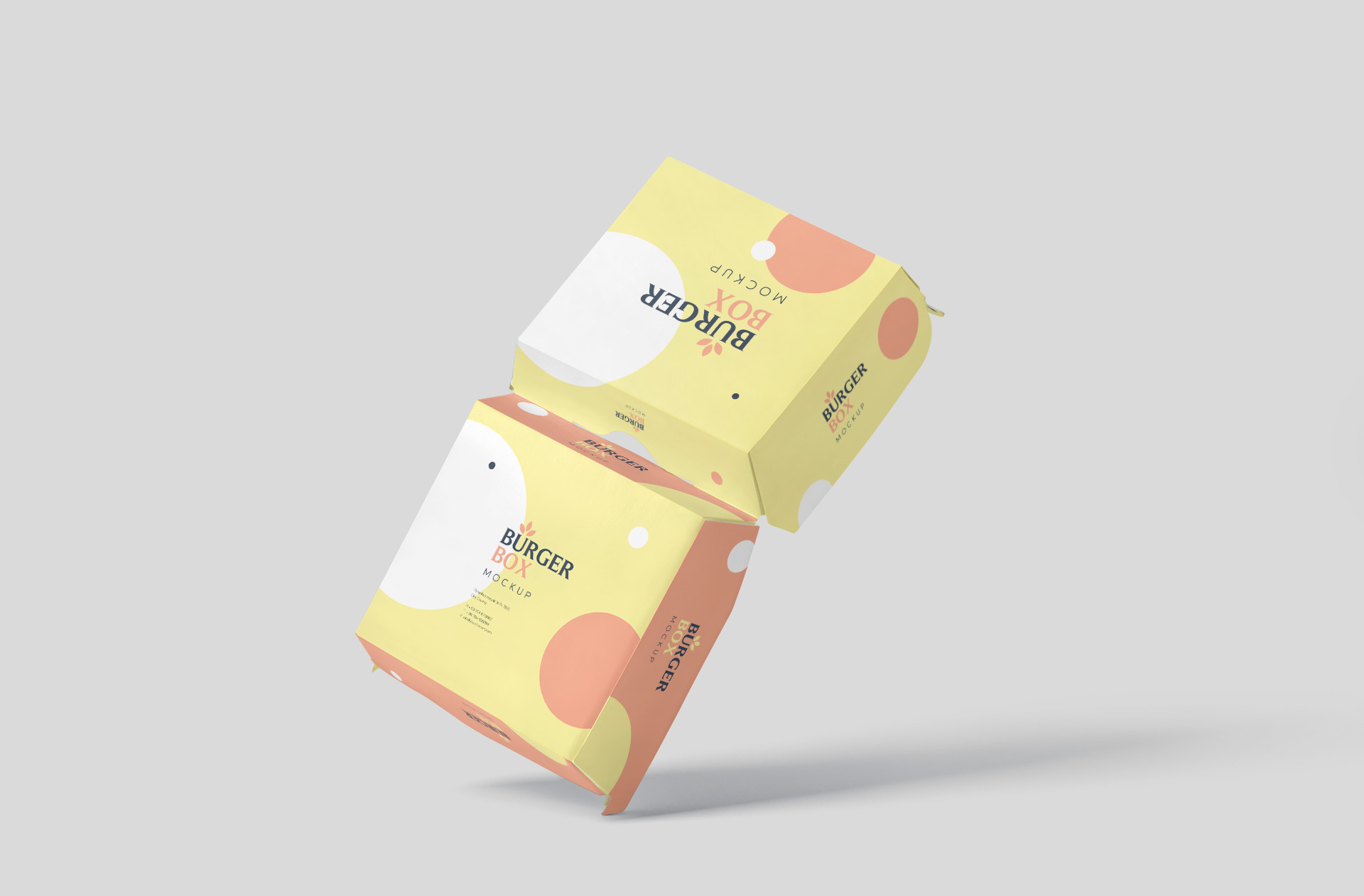 Stylish Paper Burger Box Mockup