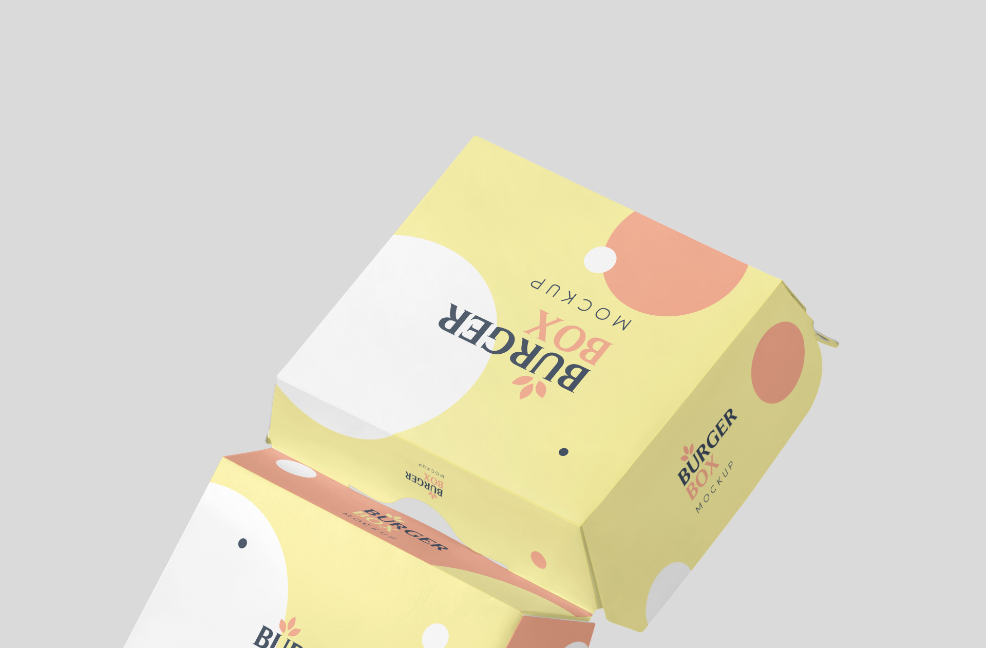 branding food container PSD