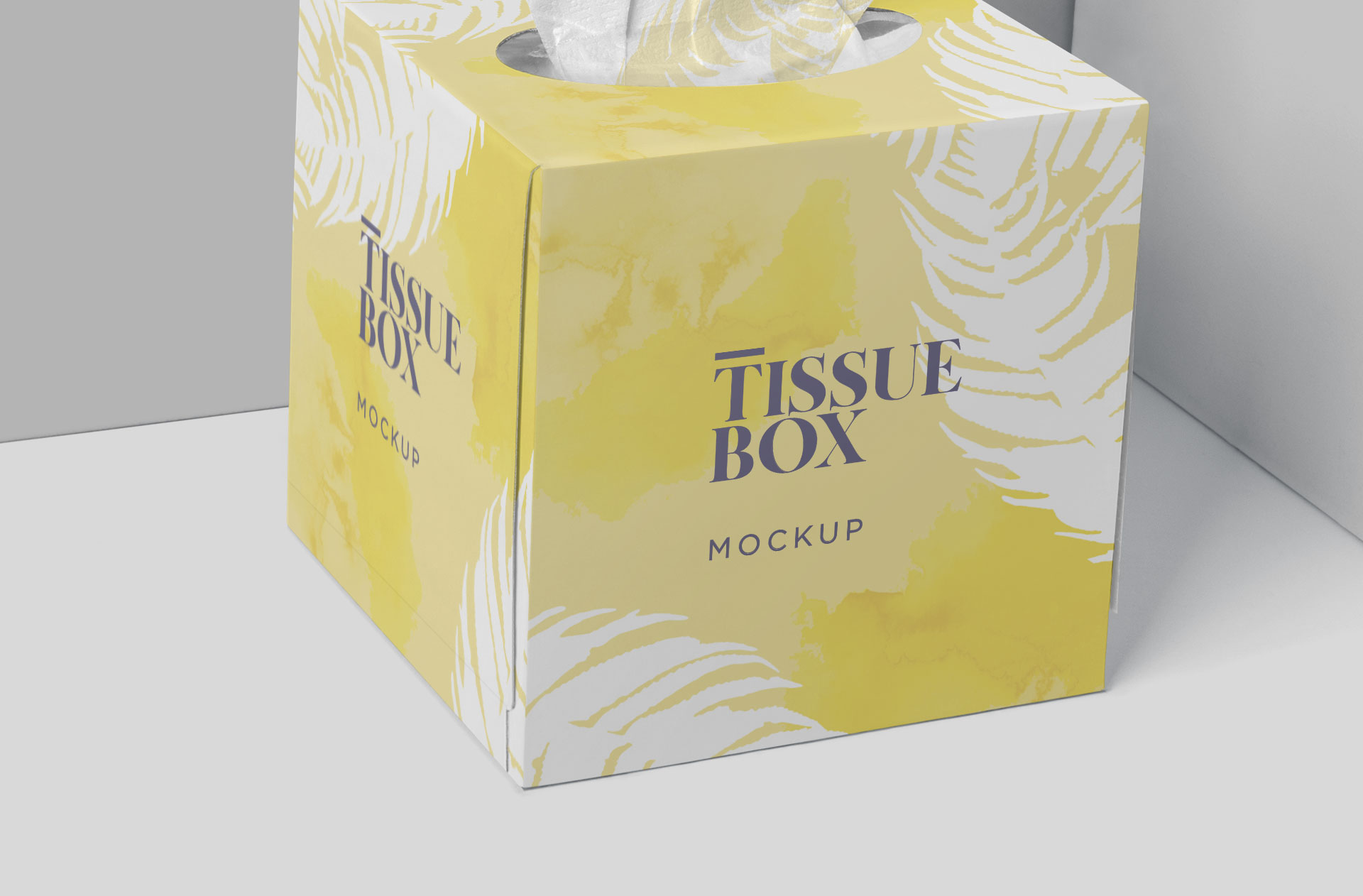 box-style mockup