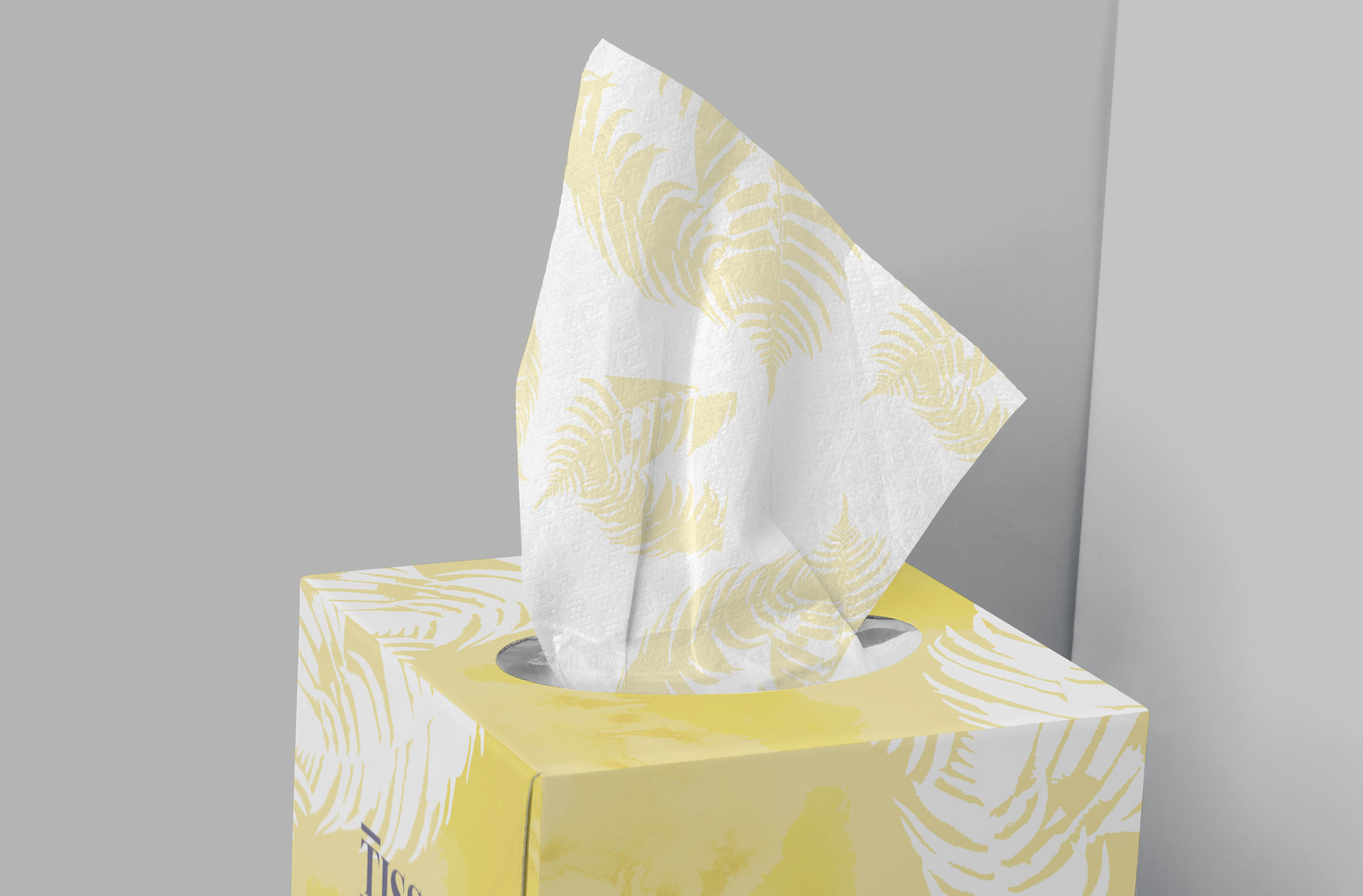 box-style mockup