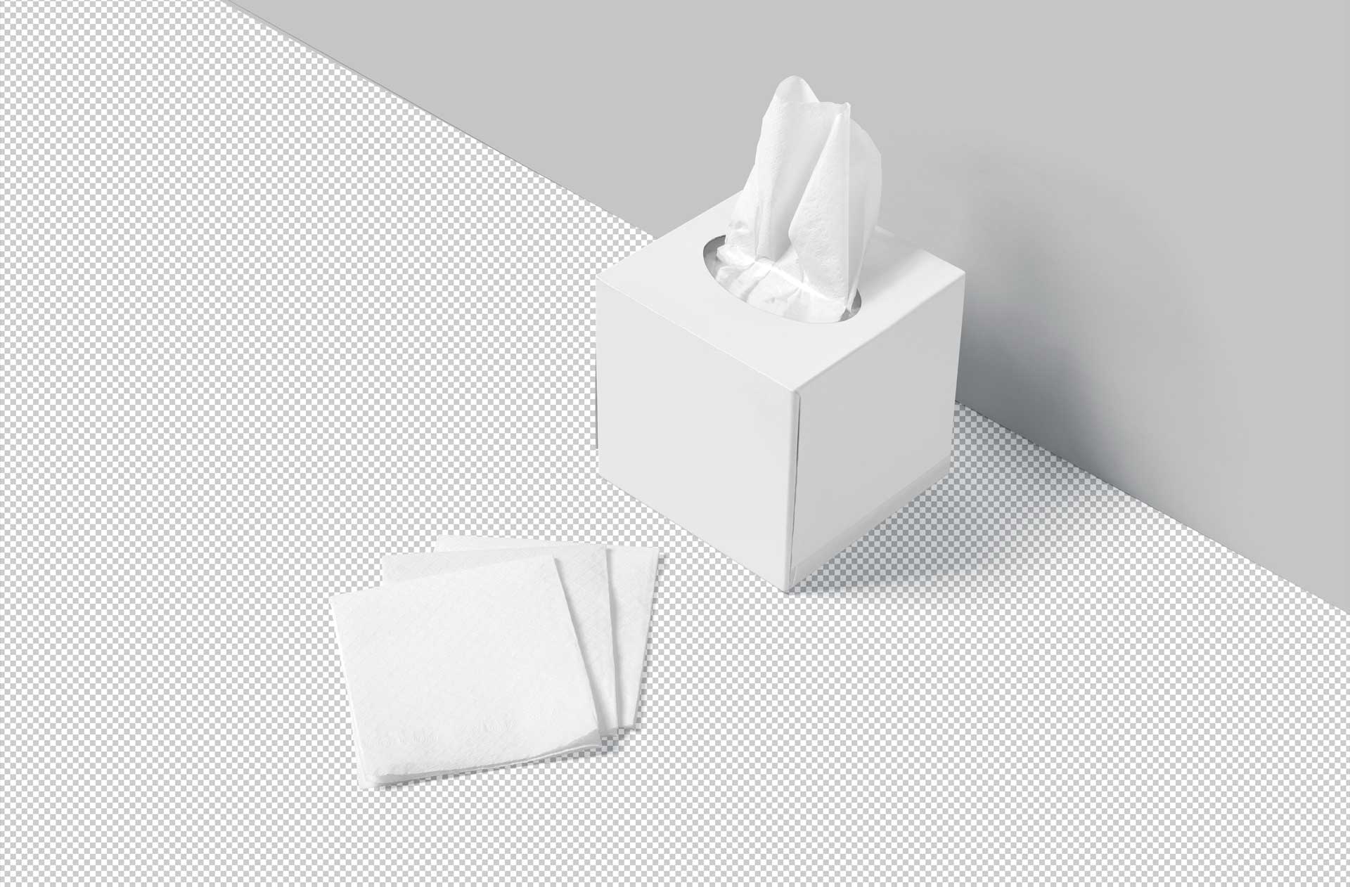 box-style mockup