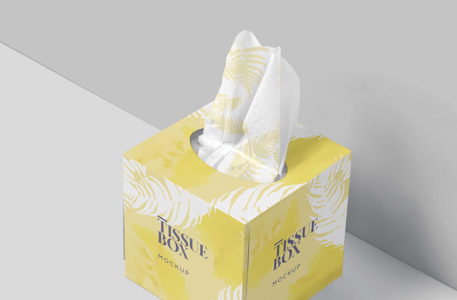 box-style mockup