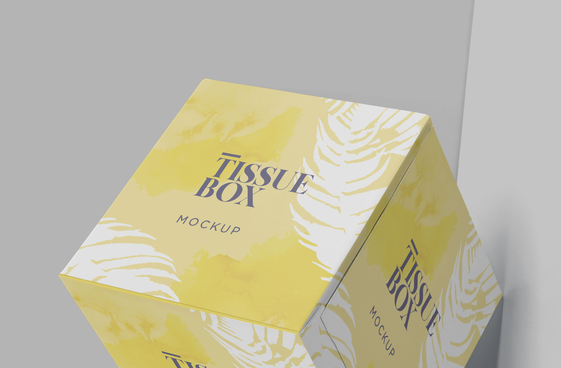 box-style mockup