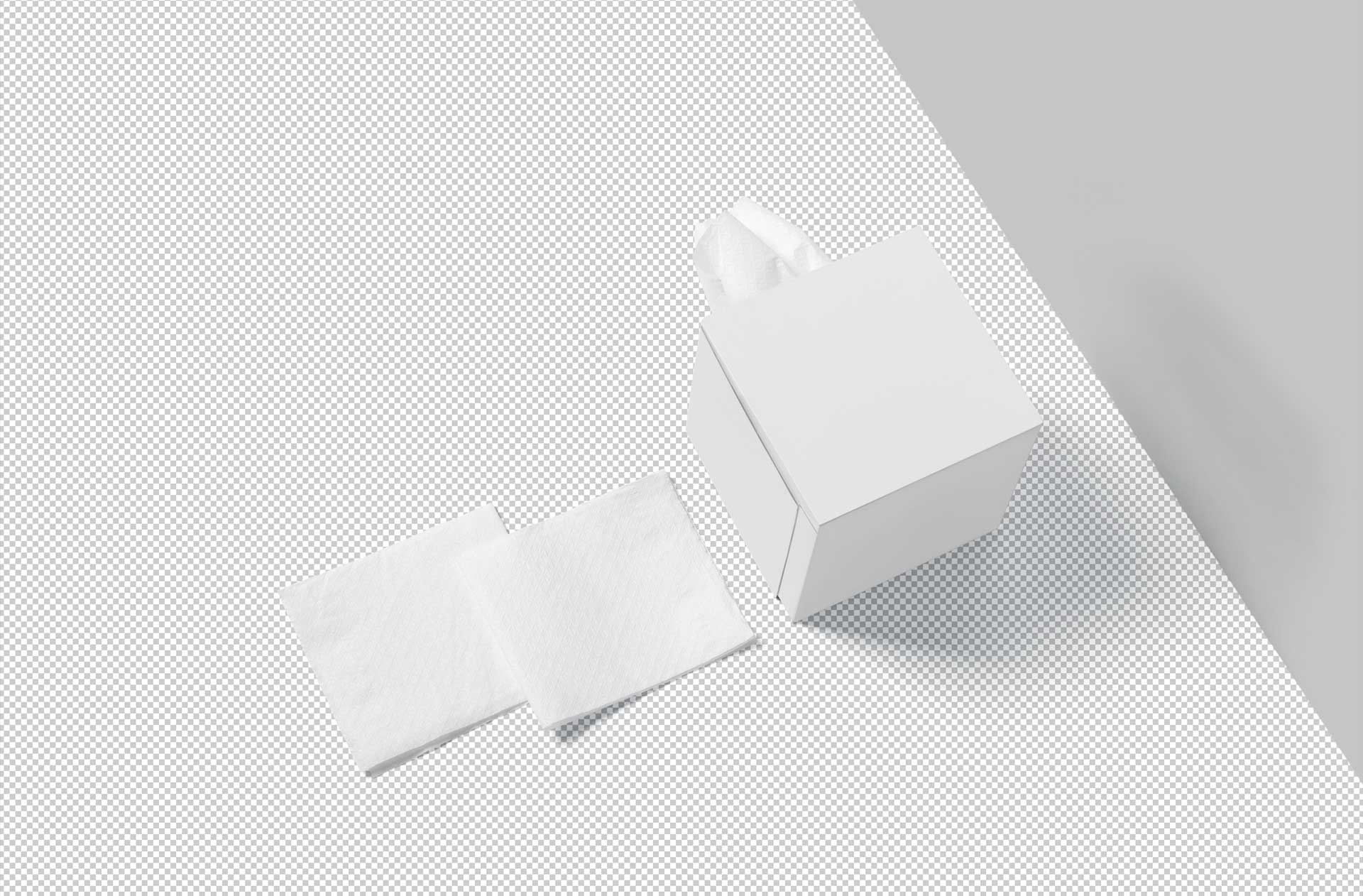 box-style mockup