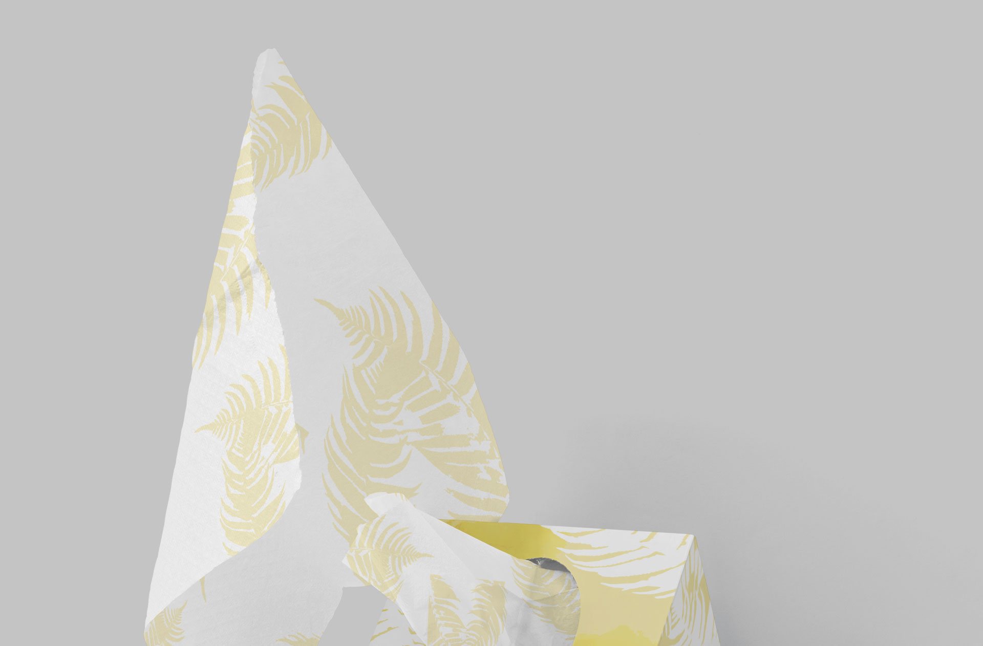 box-style mockup