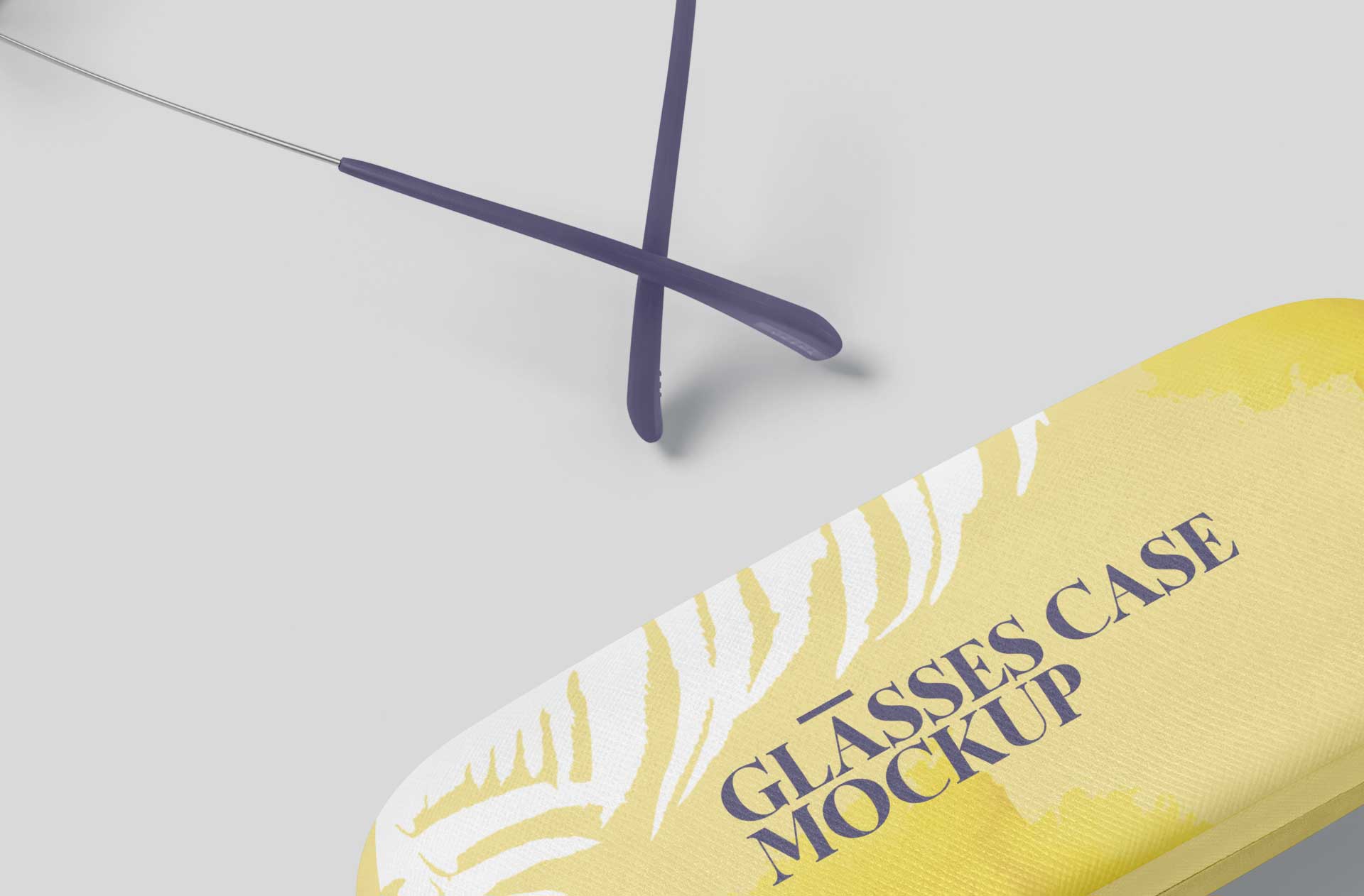 custom glasses case PSD