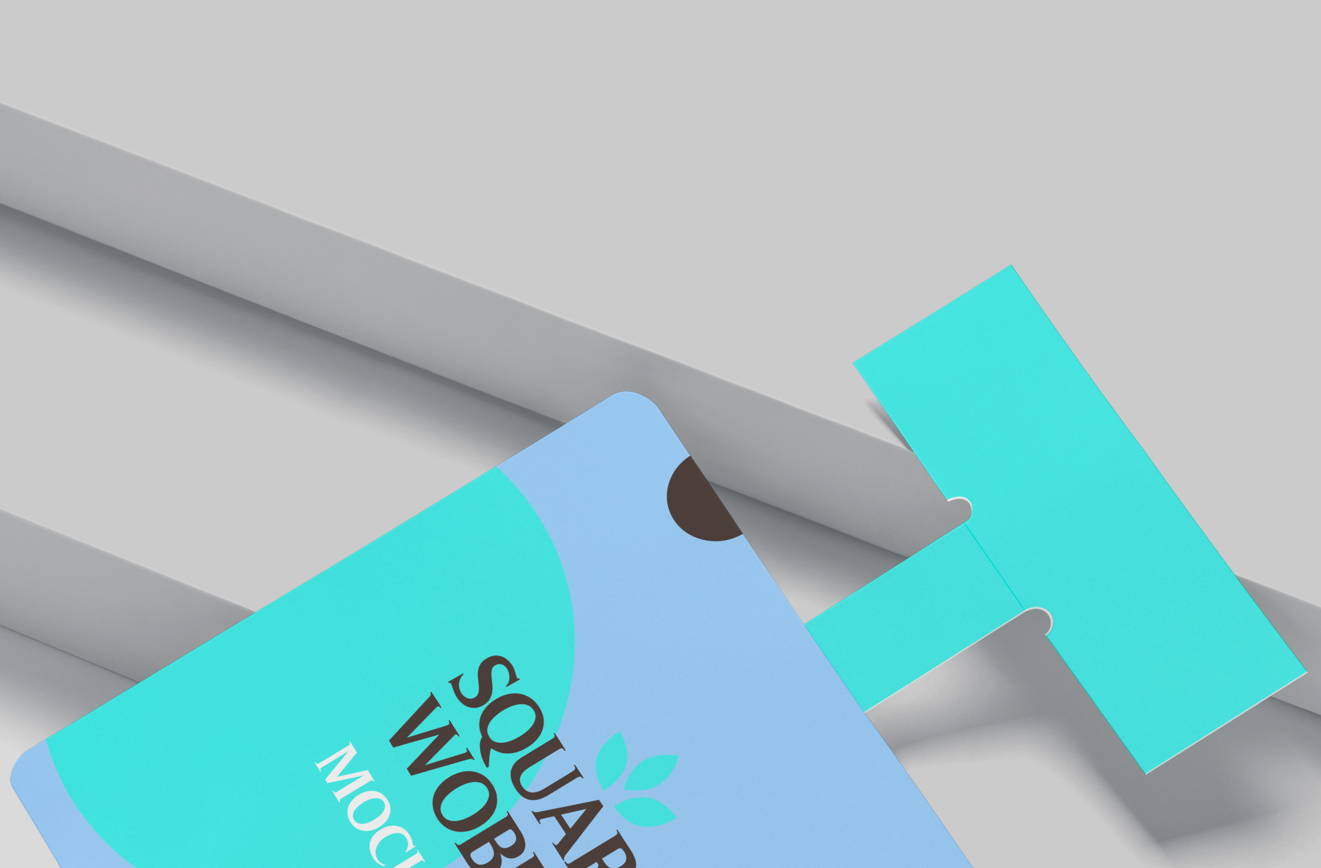 branding display mock-up