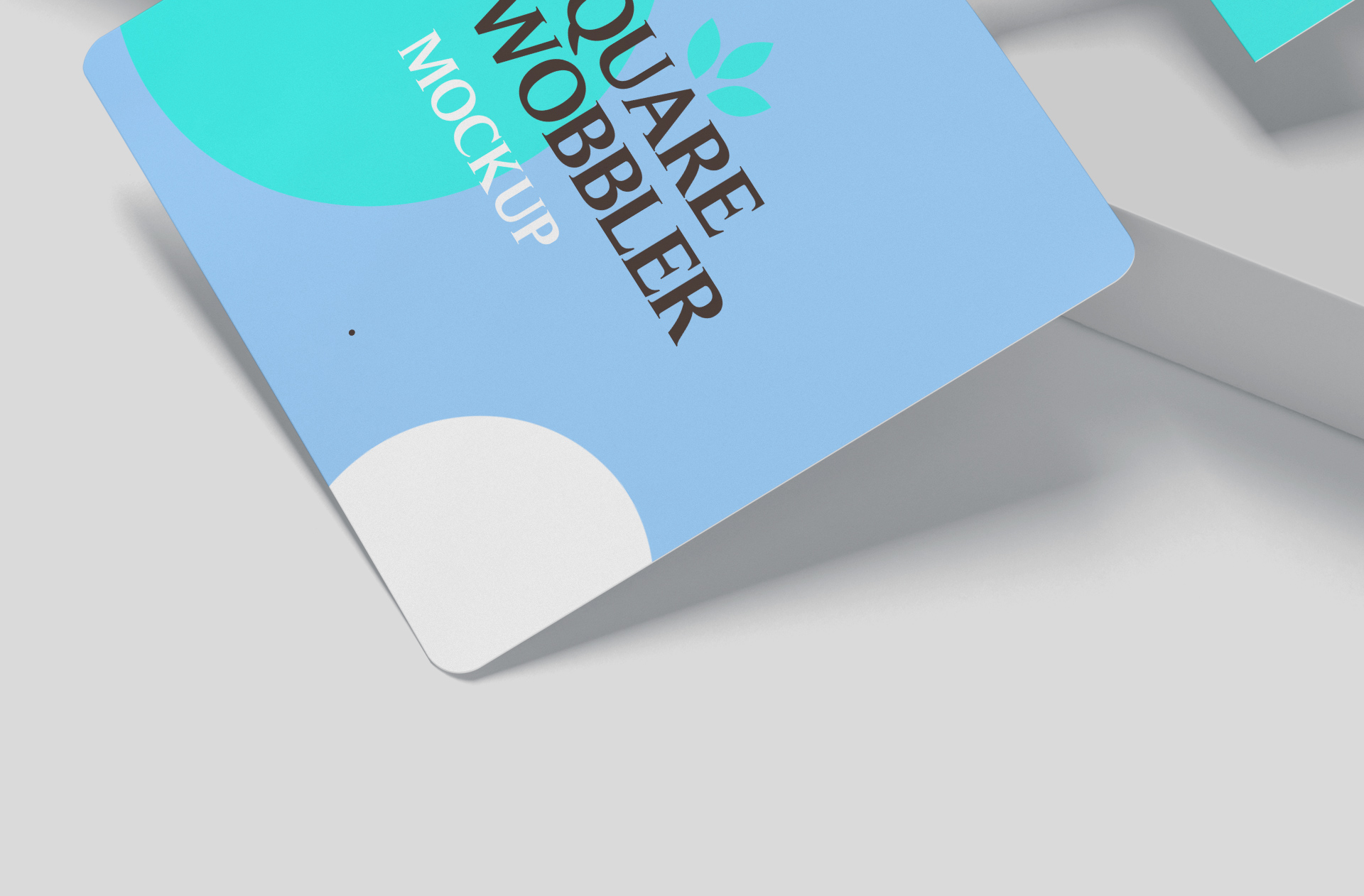 branding display mock-up
