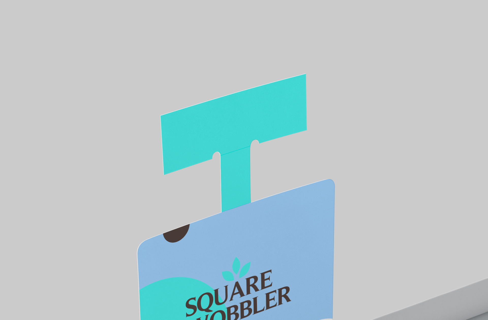 professional retail mock-up
