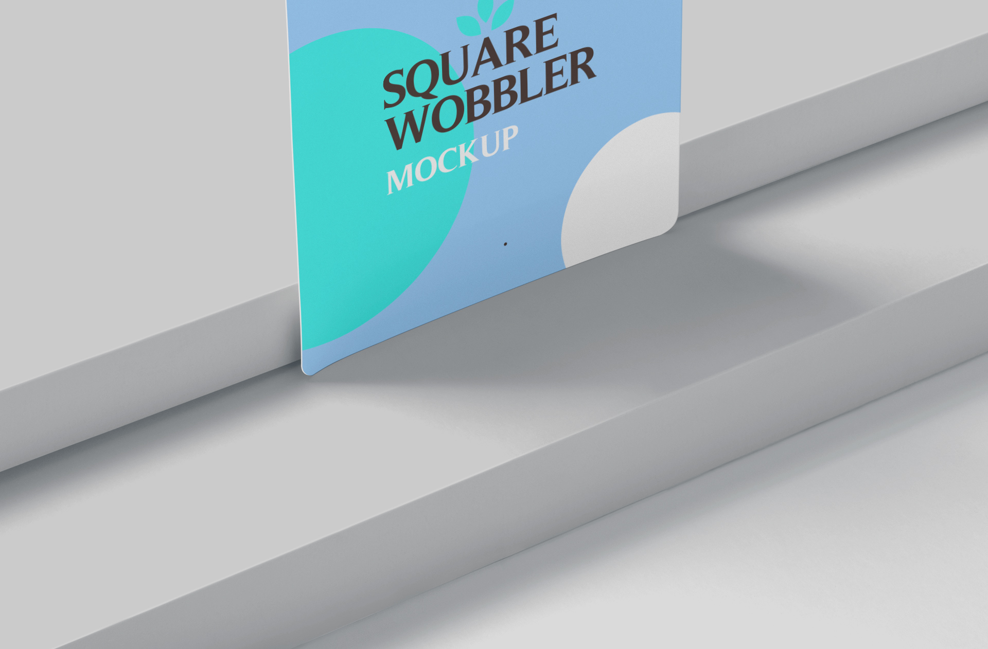 professional retail mock-up