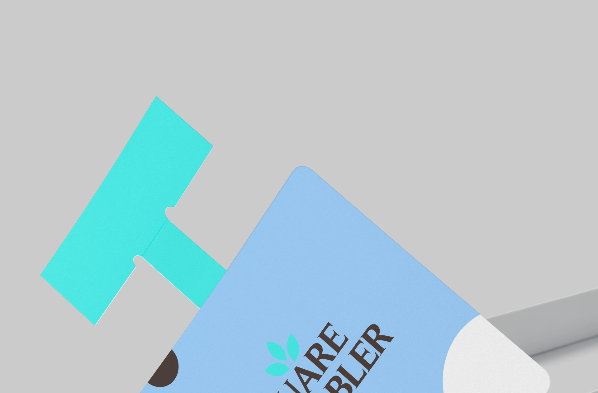 retail branding mock-up