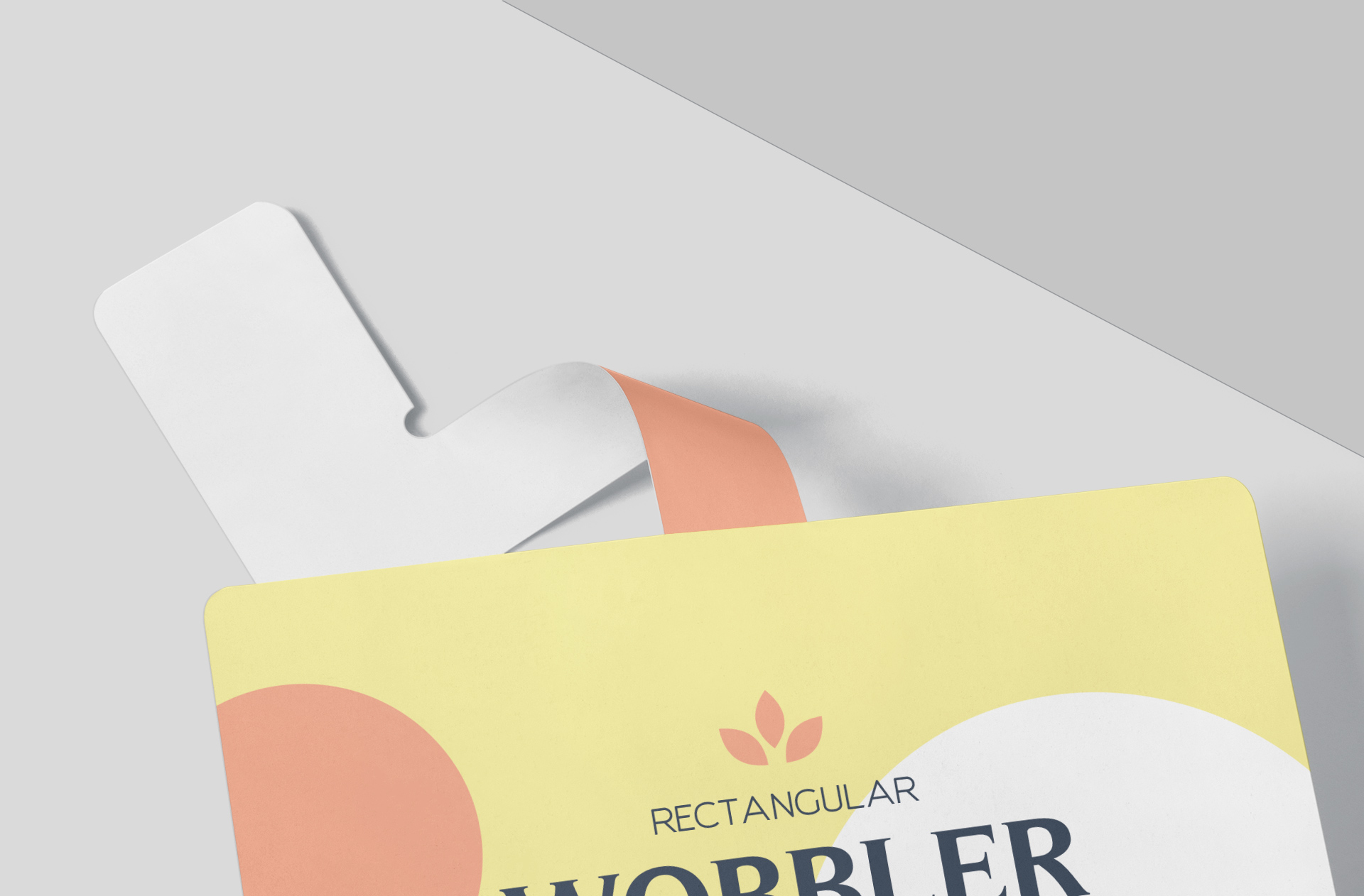 branding display mock-up