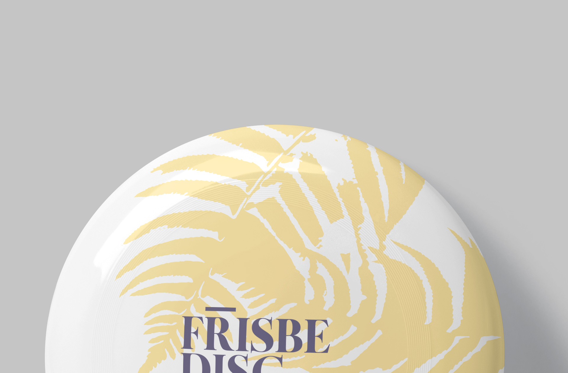 frisbee disc mock-up