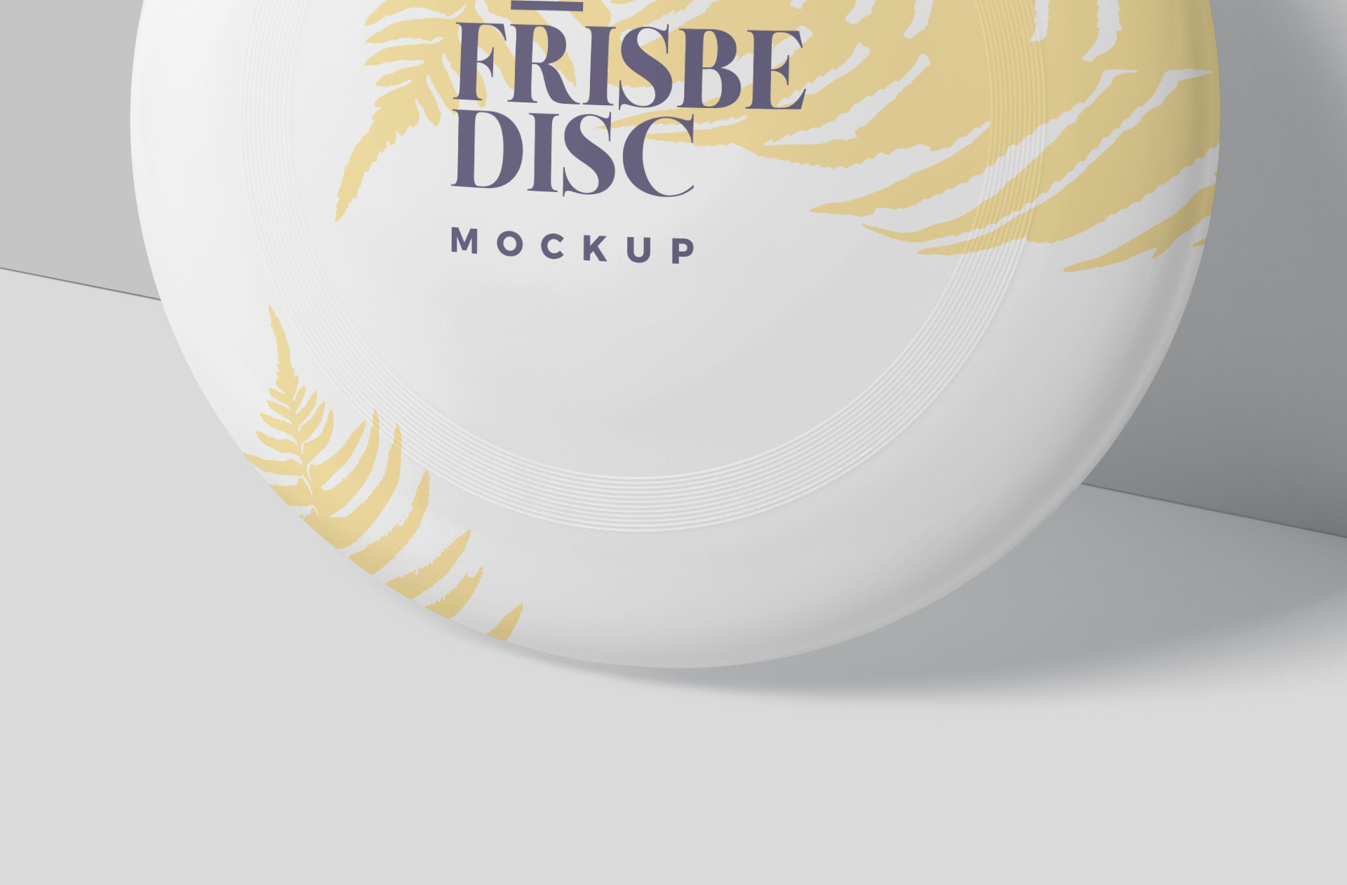 frisbee disc mock-up
