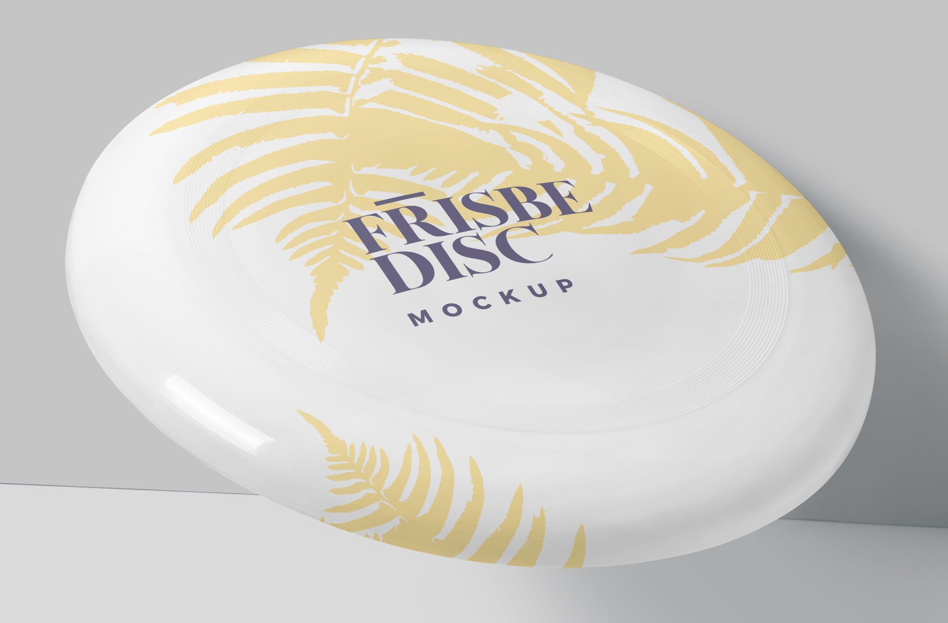 frisbee disc mock-up