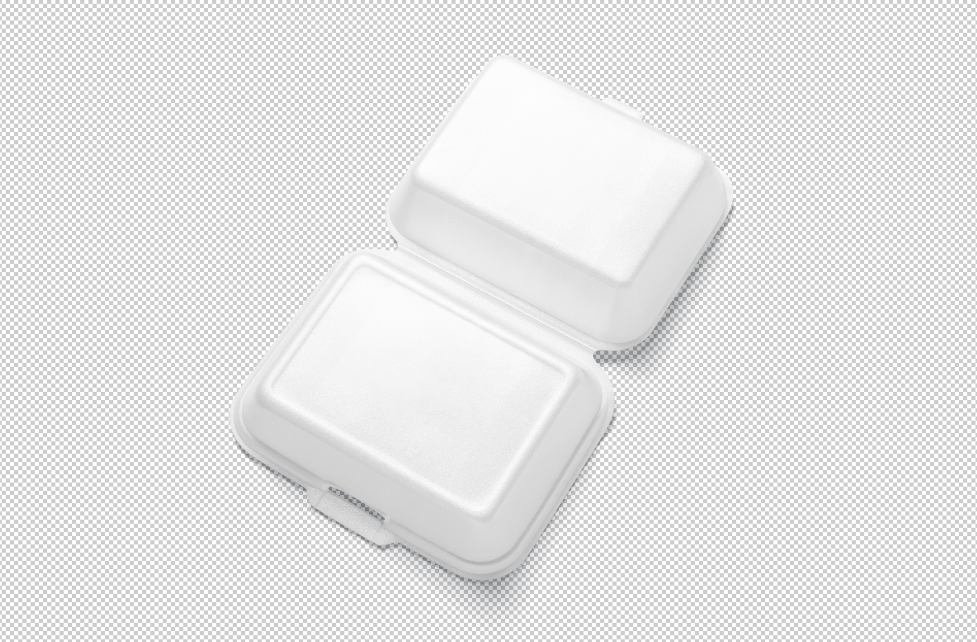 biodegradable food box