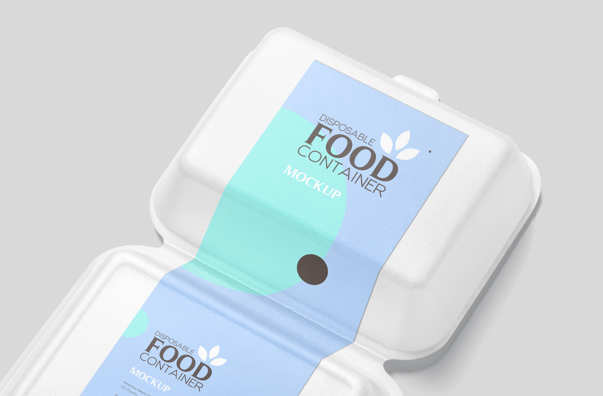 biodegradable food box