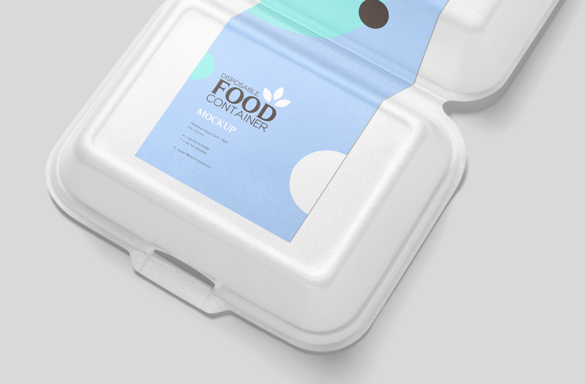 biodegradable food box
