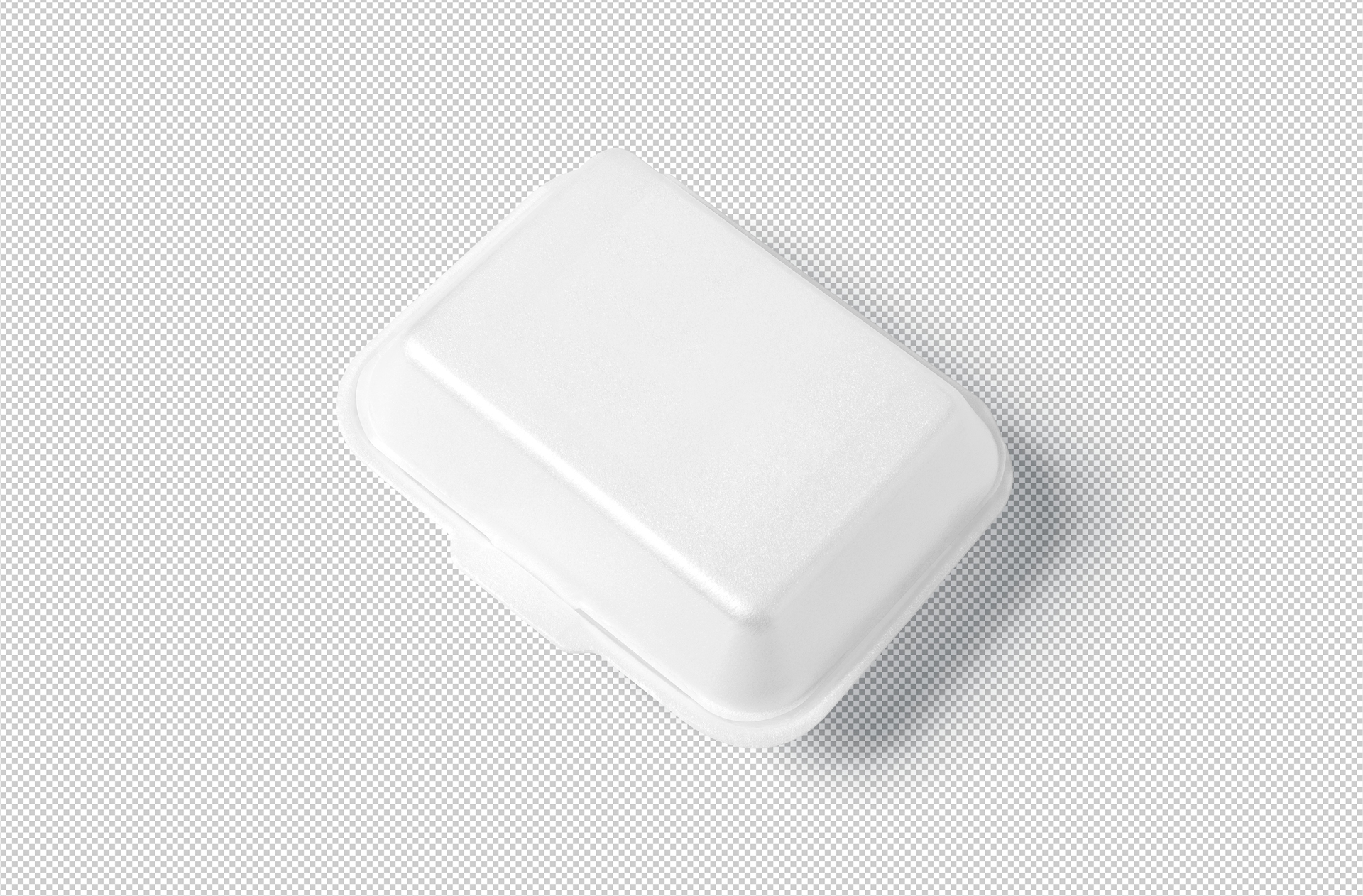 biodegradable takeout container