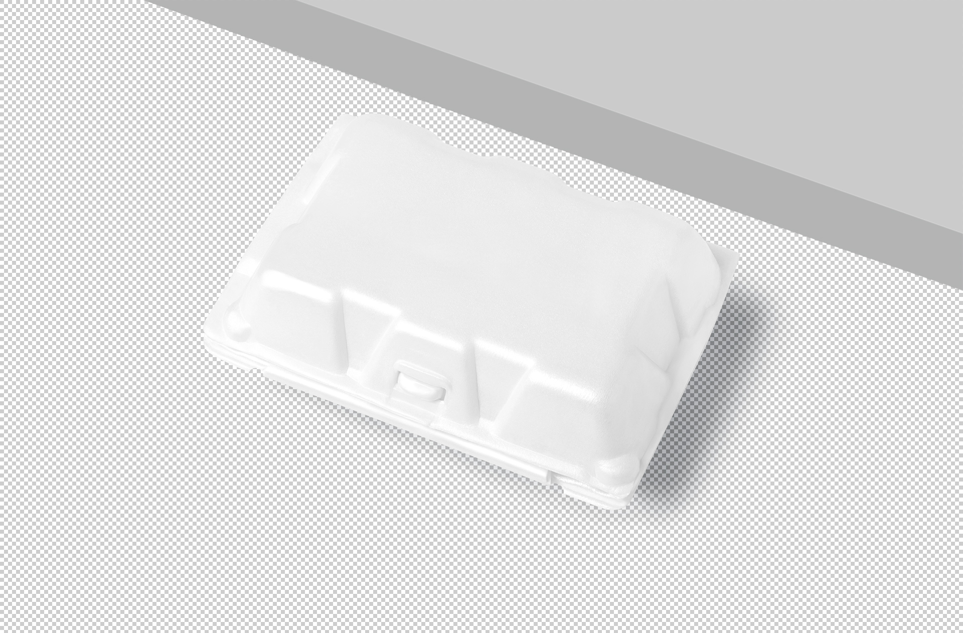customizable egg carton mock-up