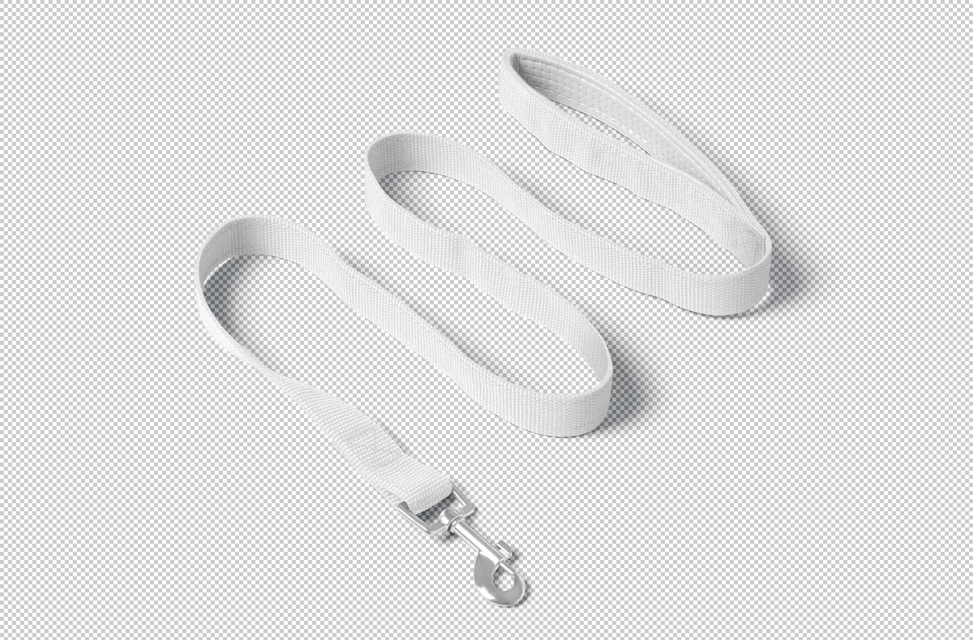 pet leash mockup