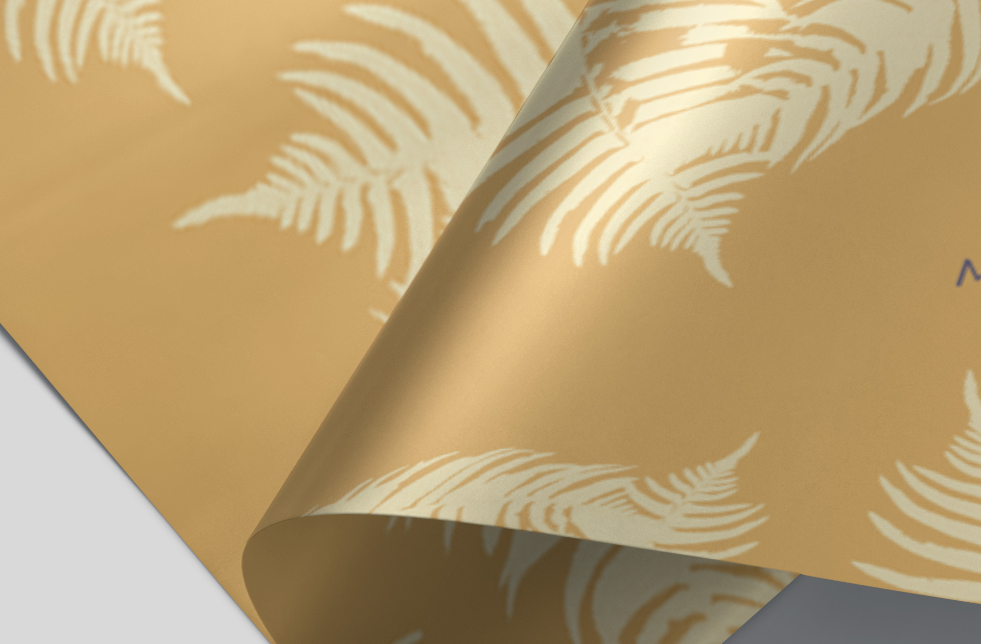 editable foil packaging mockup