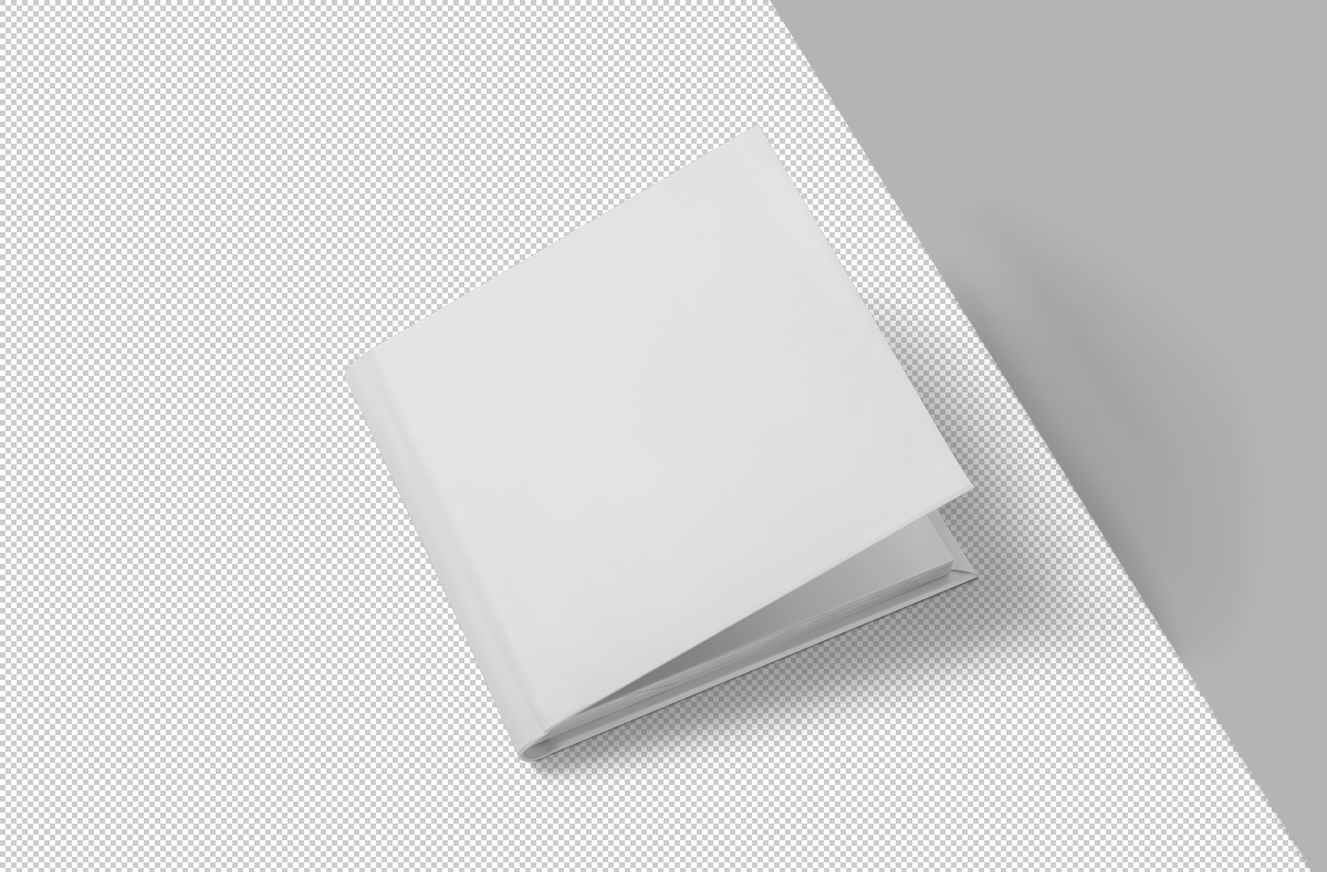 album mockup