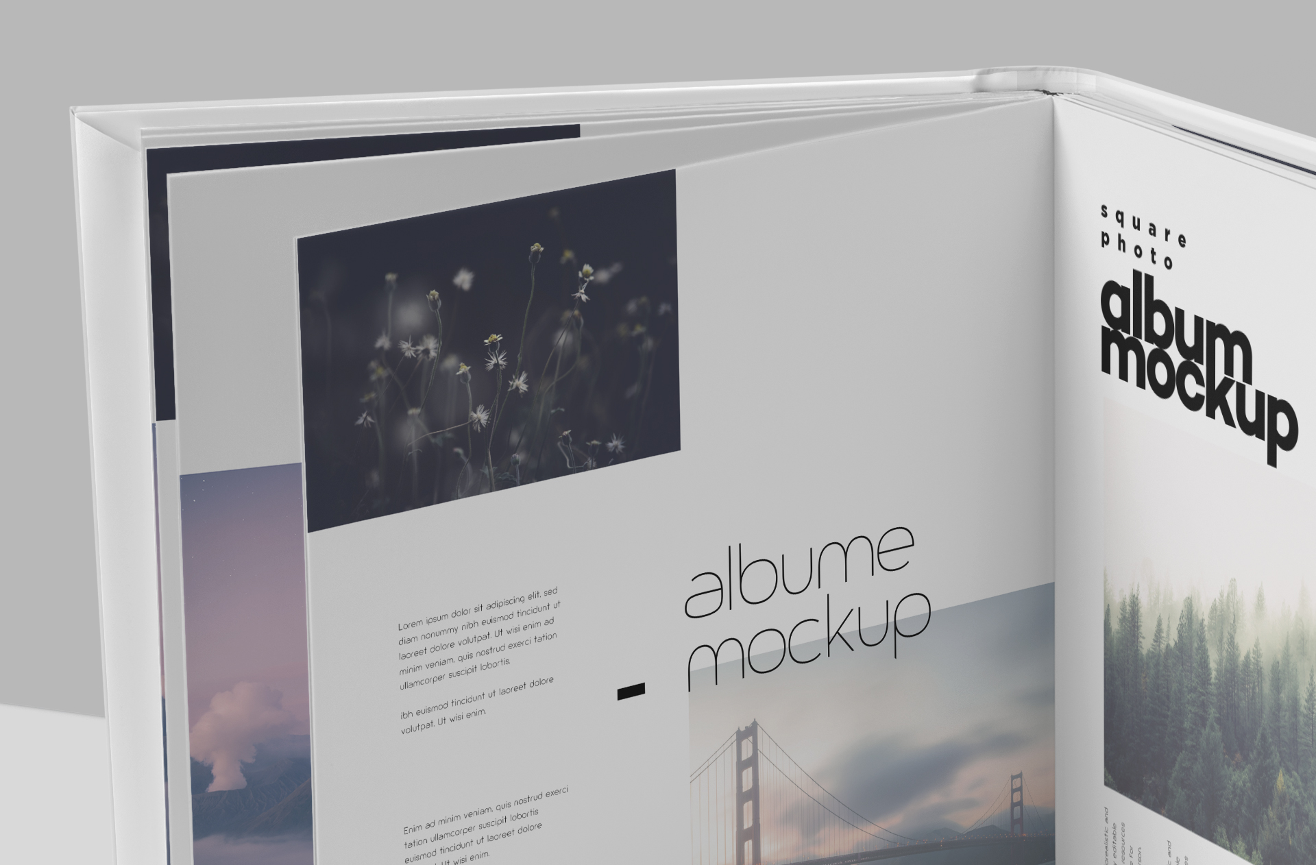 album mockup