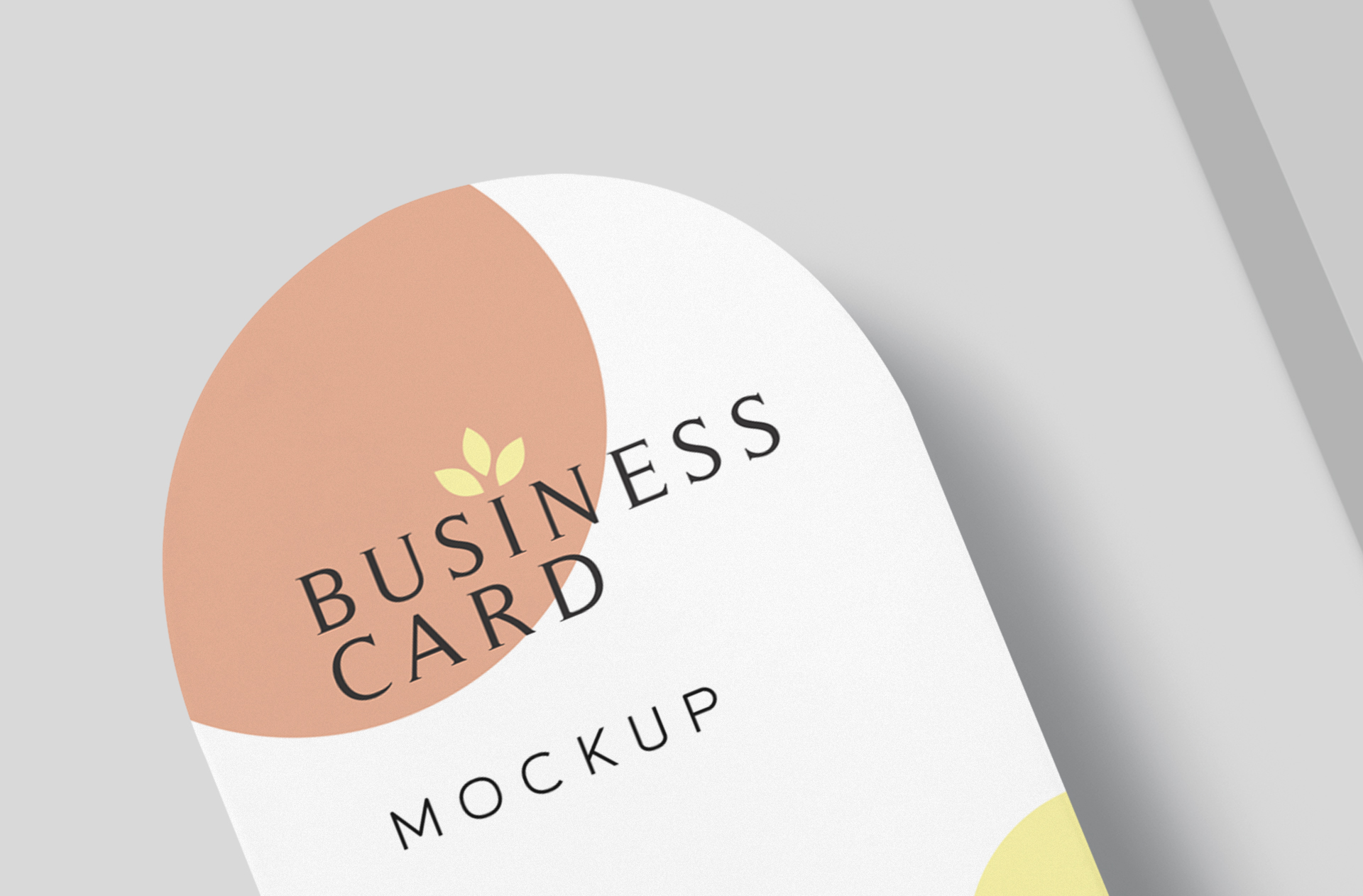 branding template PSD