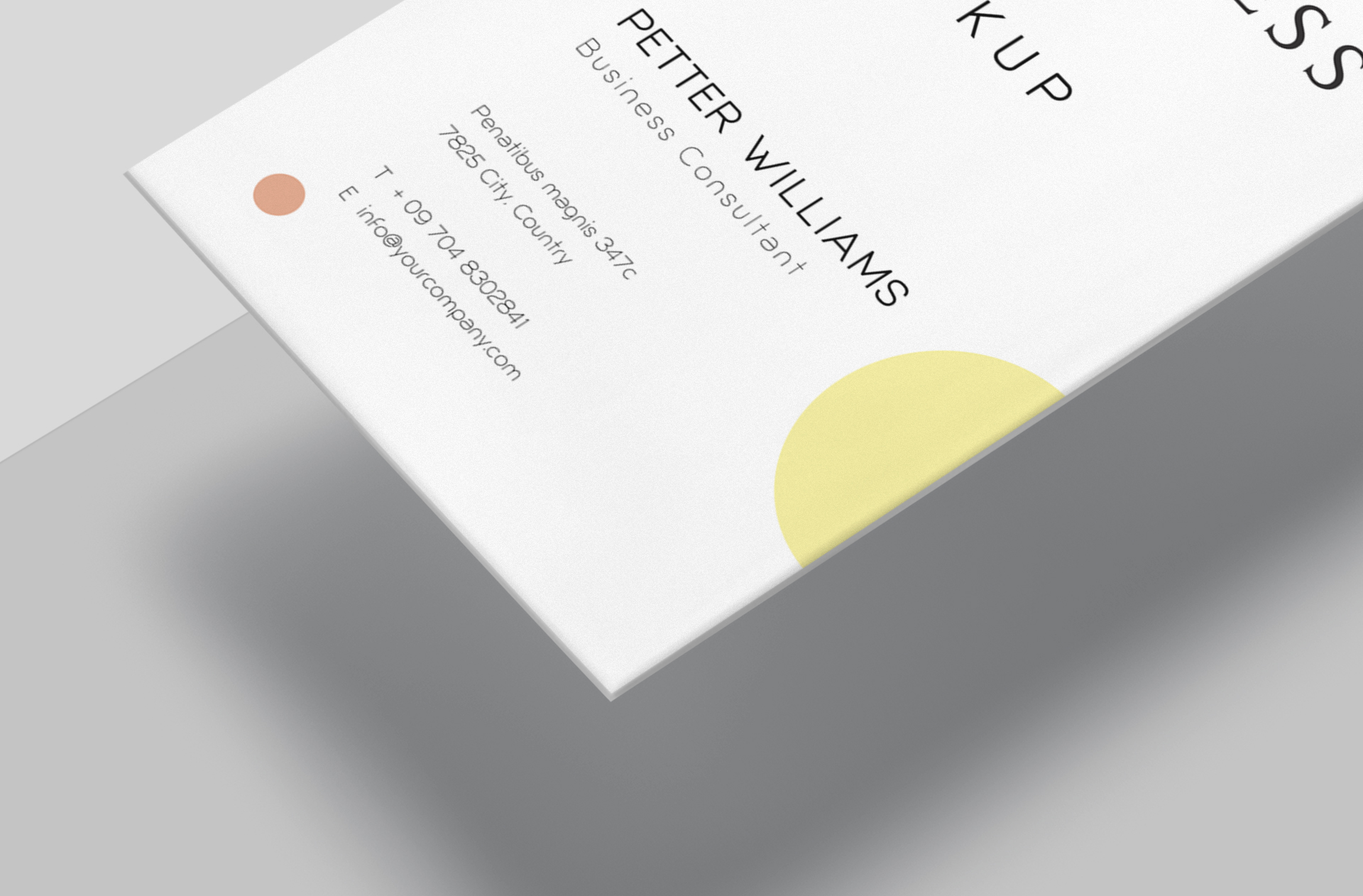 business card mockup
