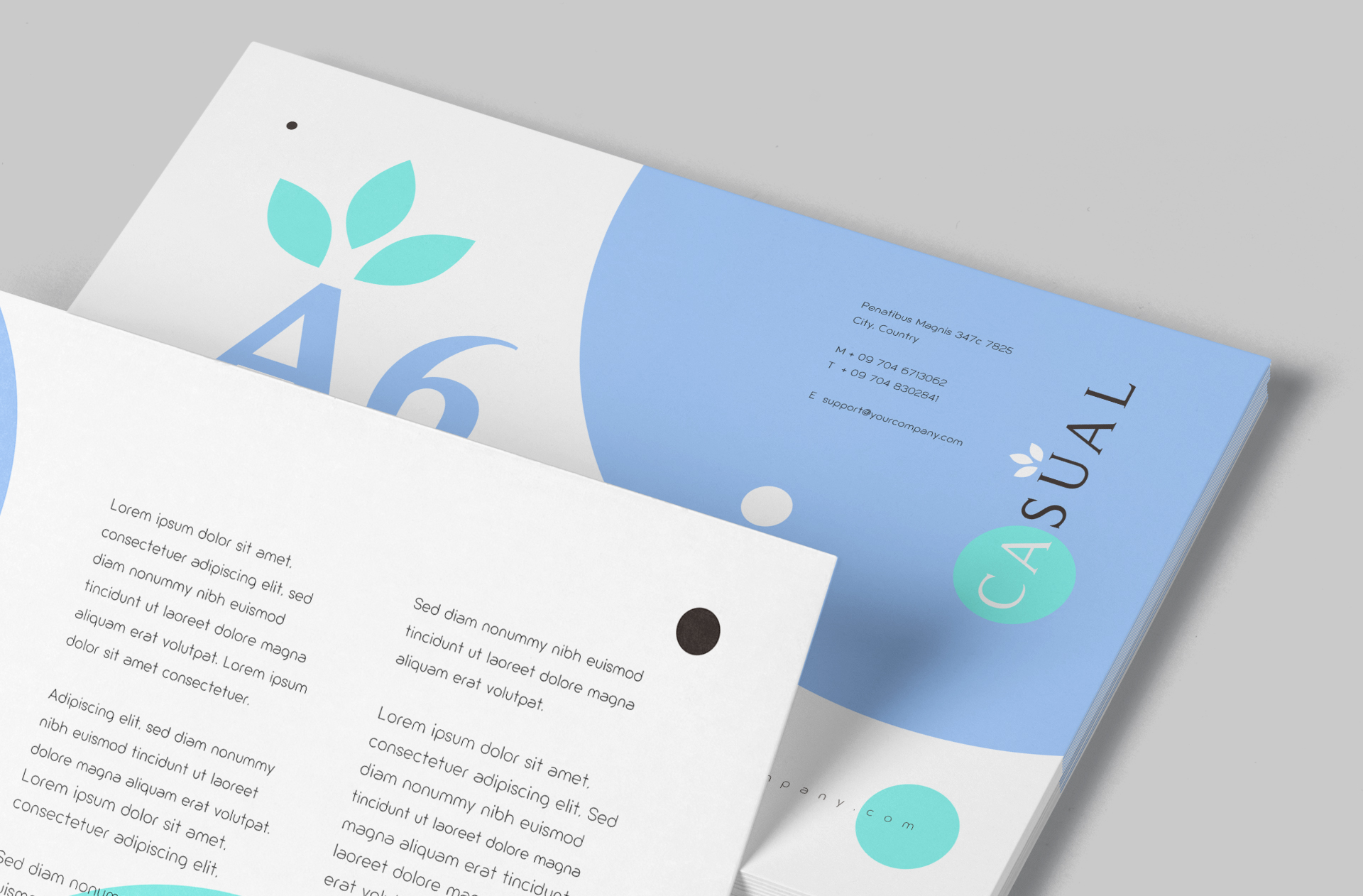 A6 flyer mockup