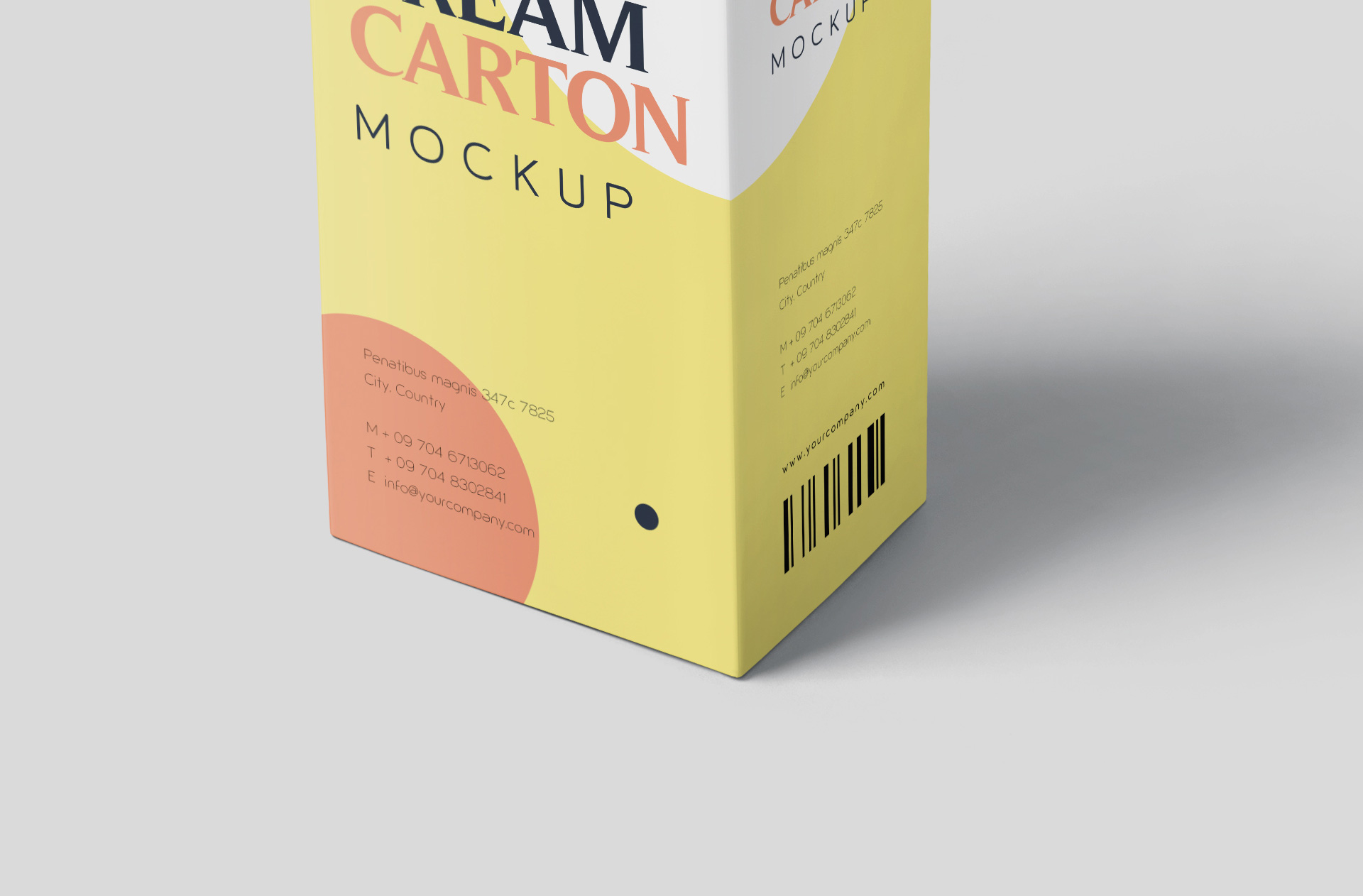 beverage carton box mock-up