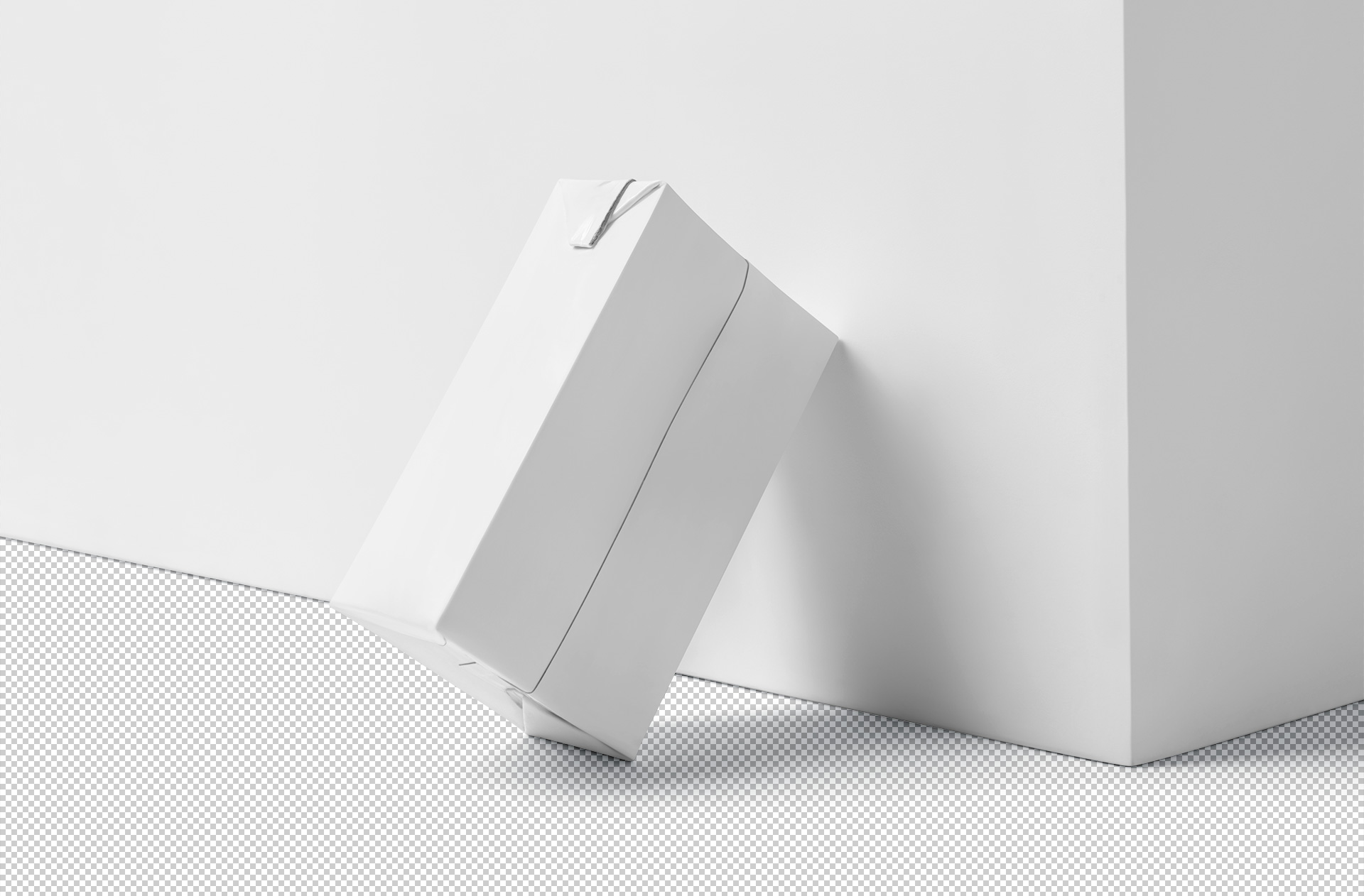 beverage carton mock-up