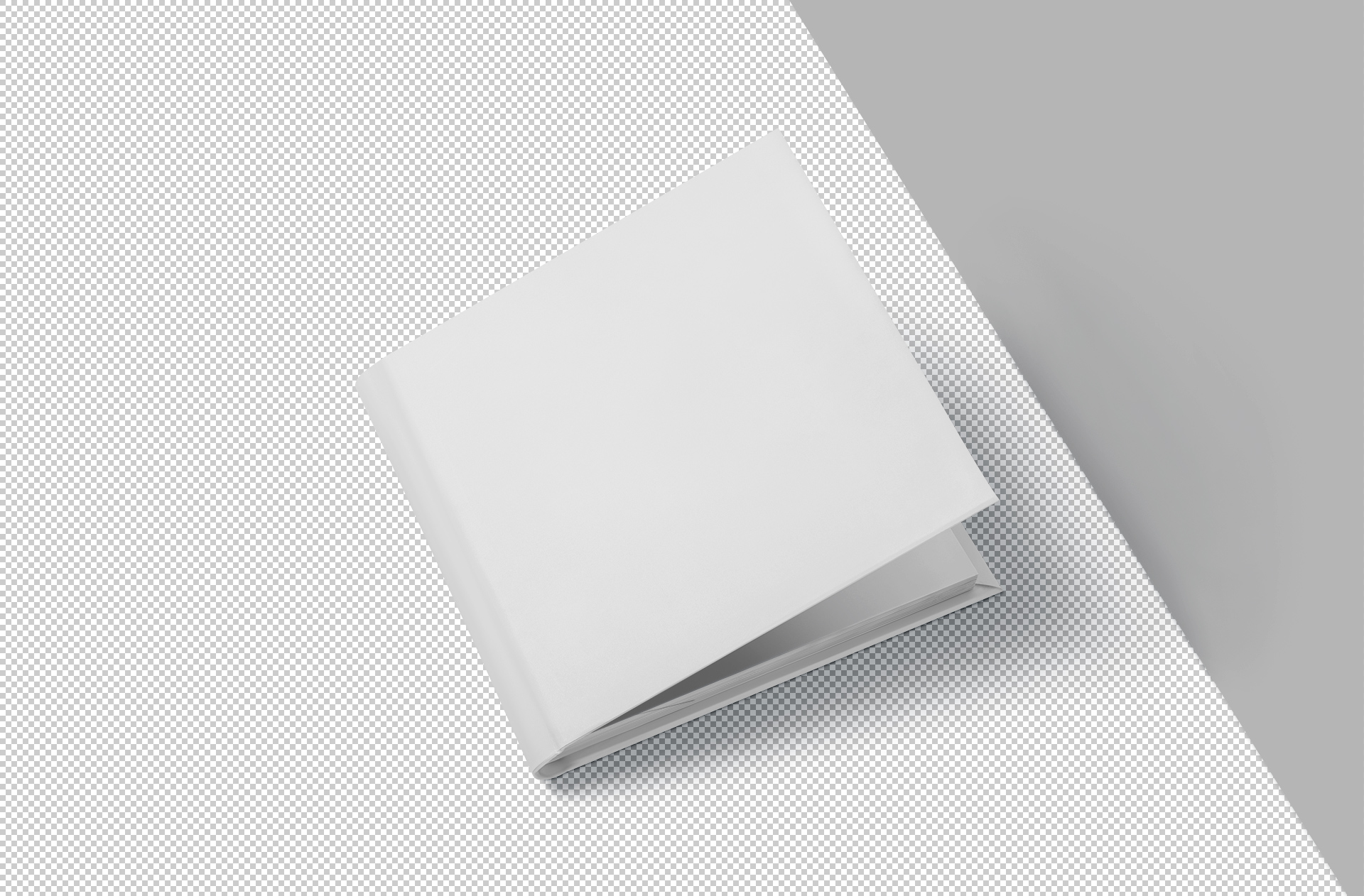 album print mock-up