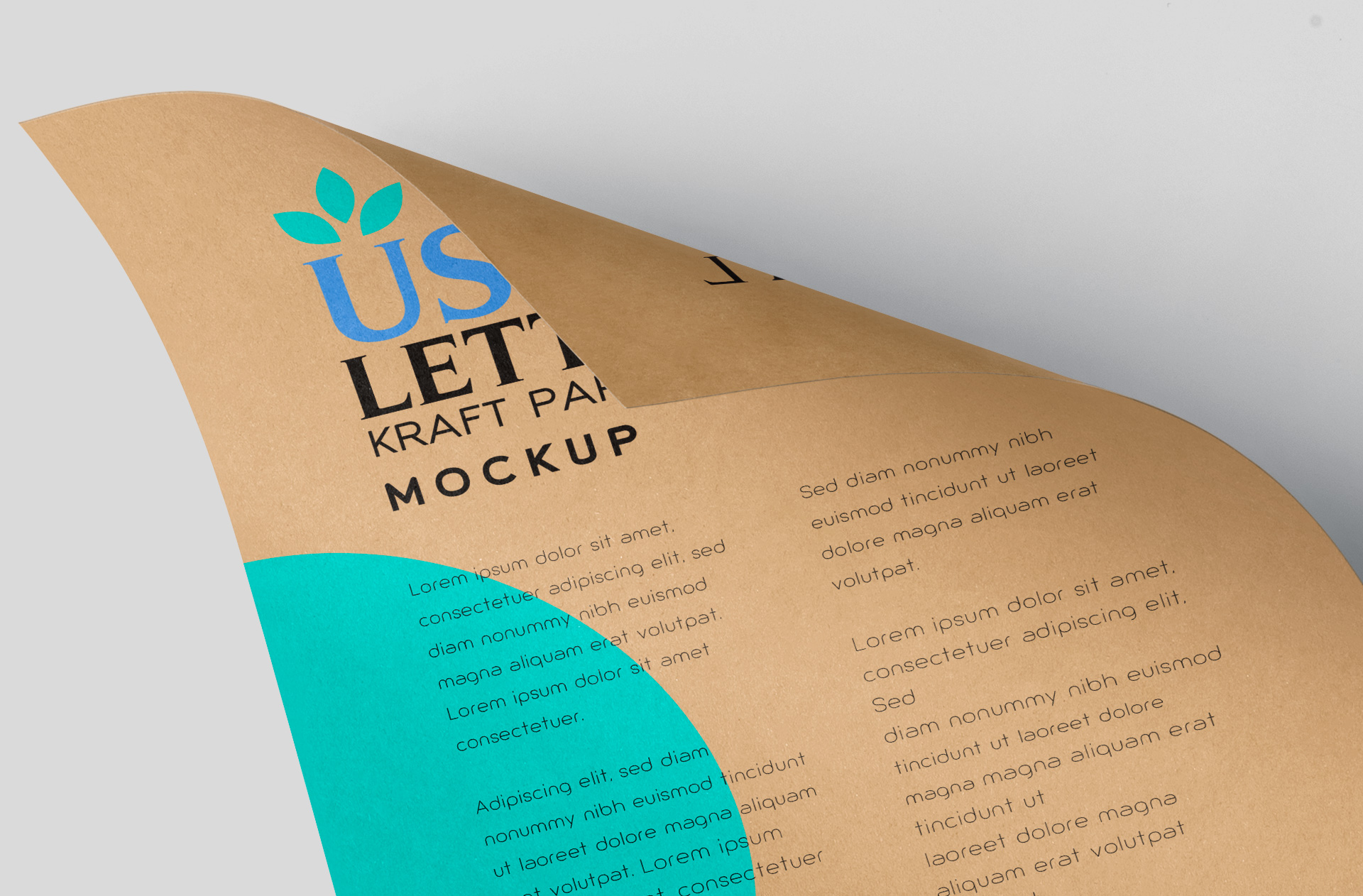 customizable branding flyer mock-up
