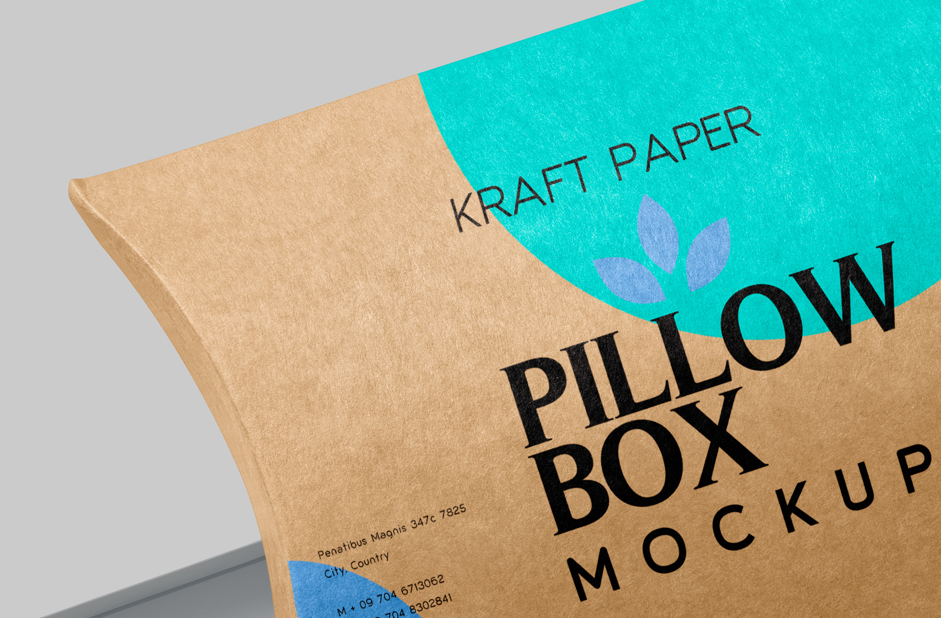 box mockup PSD
