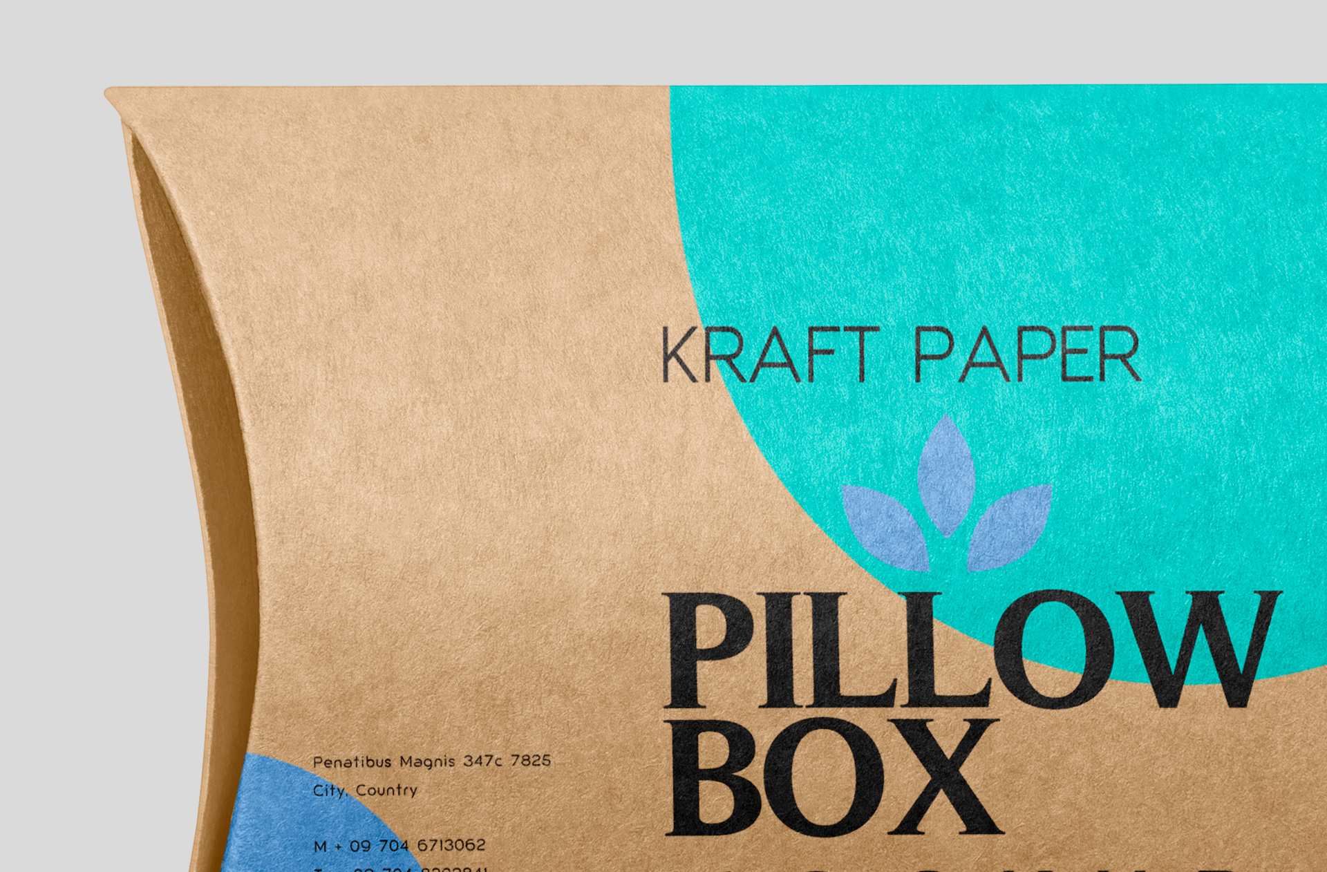 box design mock-up