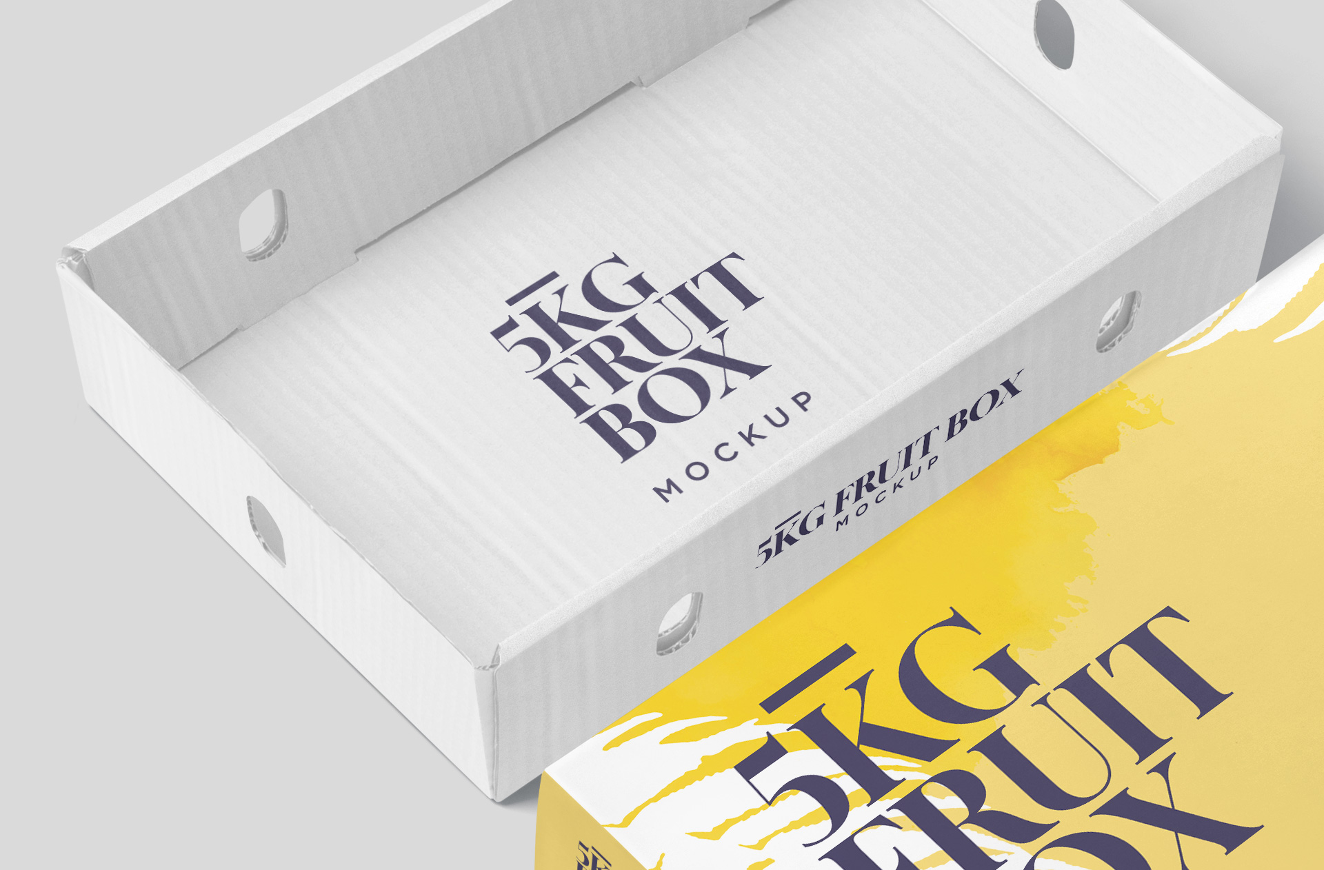 carton box mockup