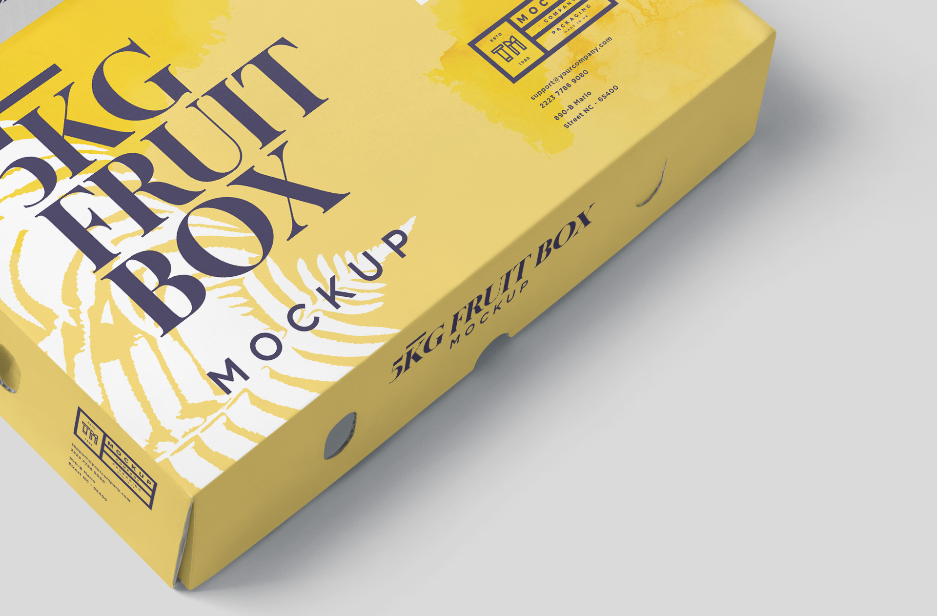 carton box mockup
