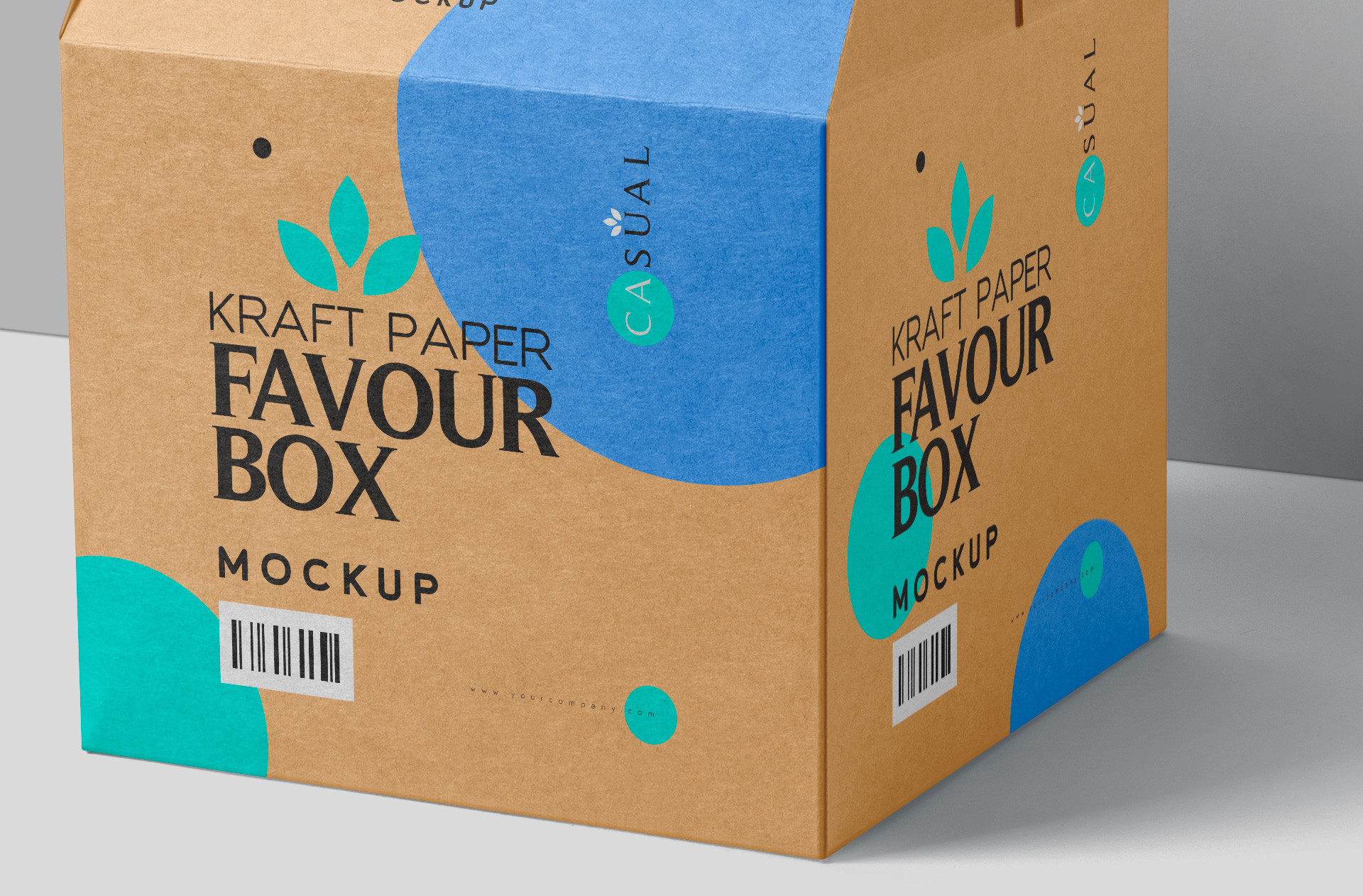 eco-friendly packaging box