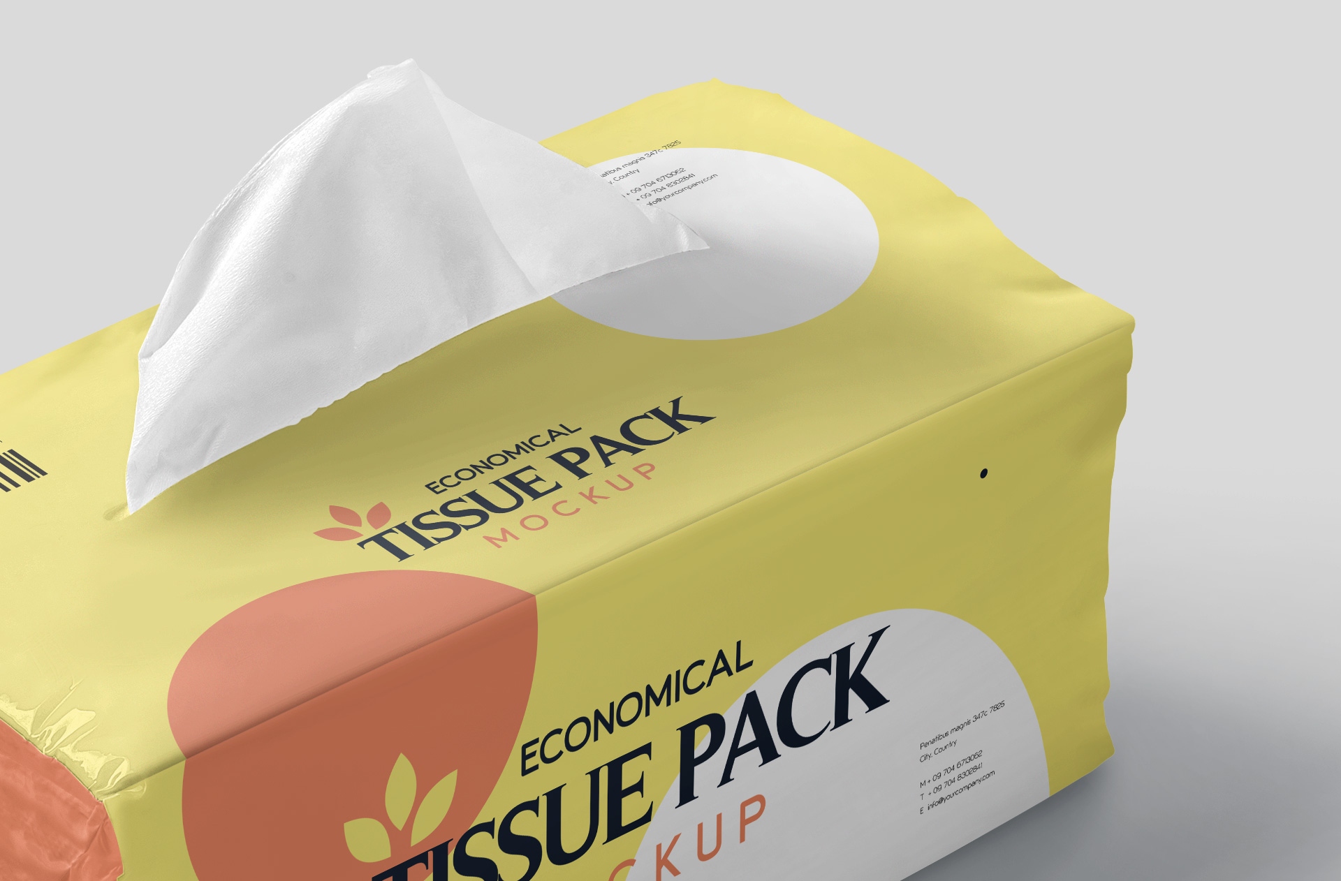 tissue packaging mock-up