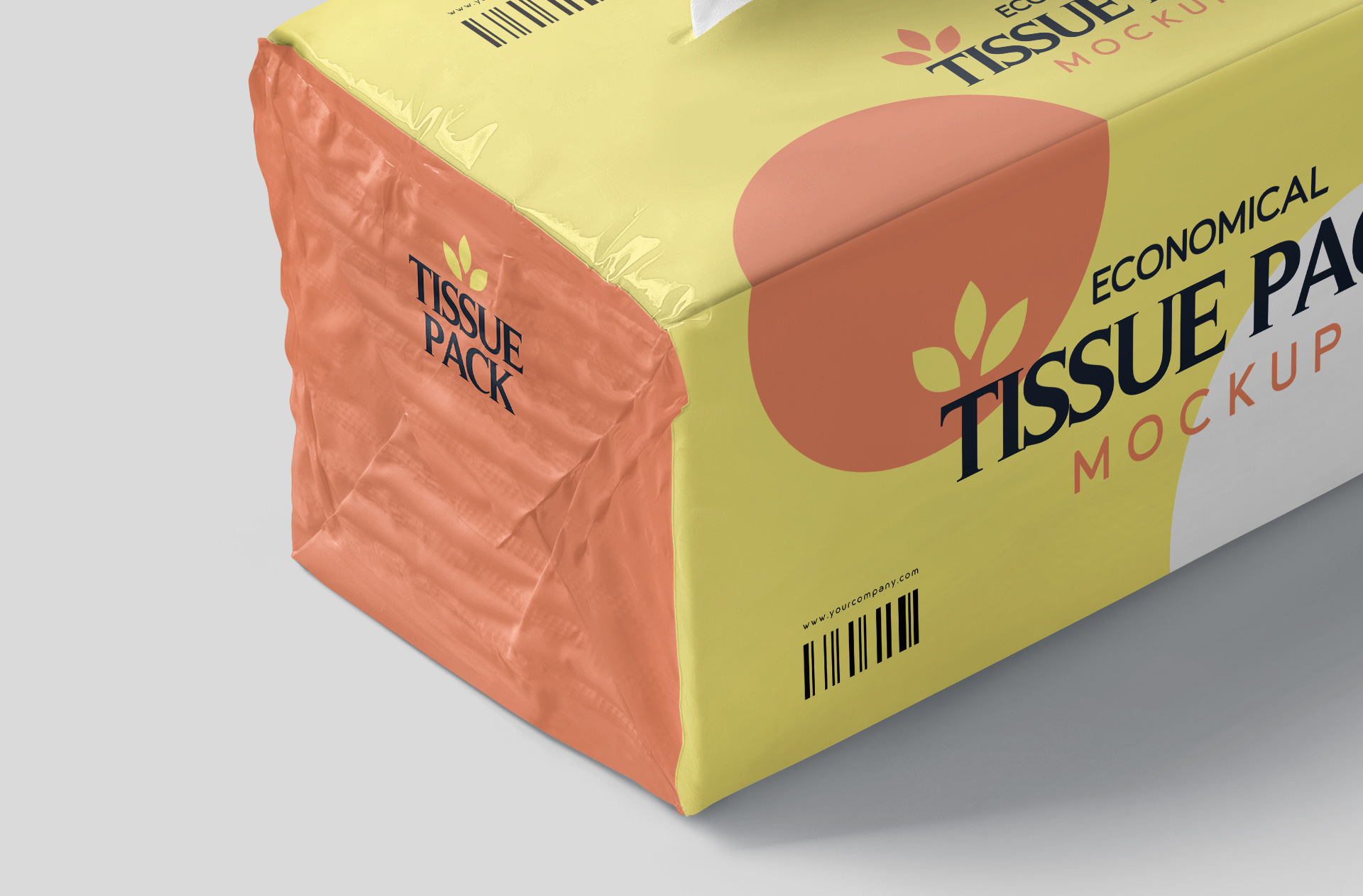 tissue packaging mock-up