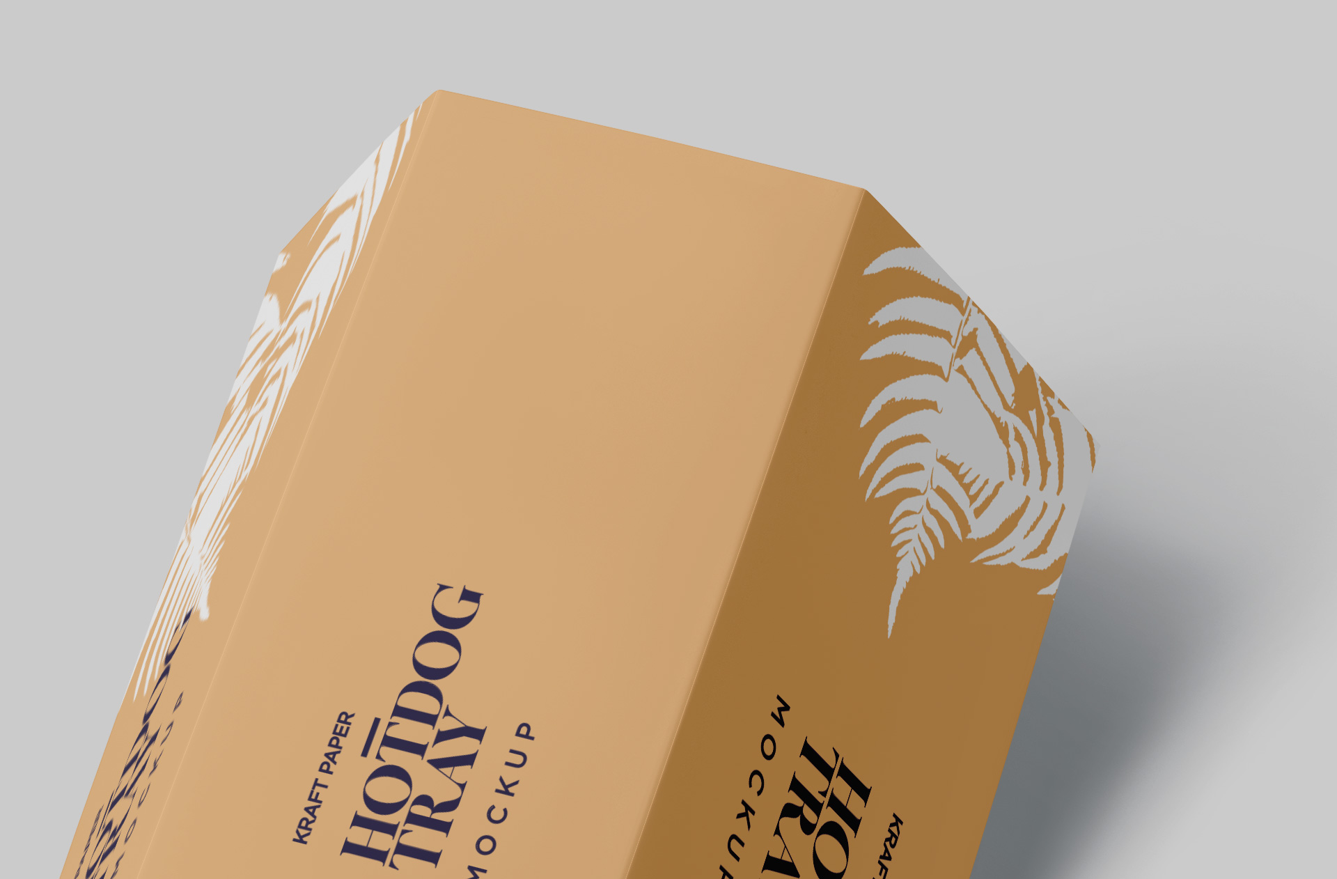 cardboard snack tray PSD