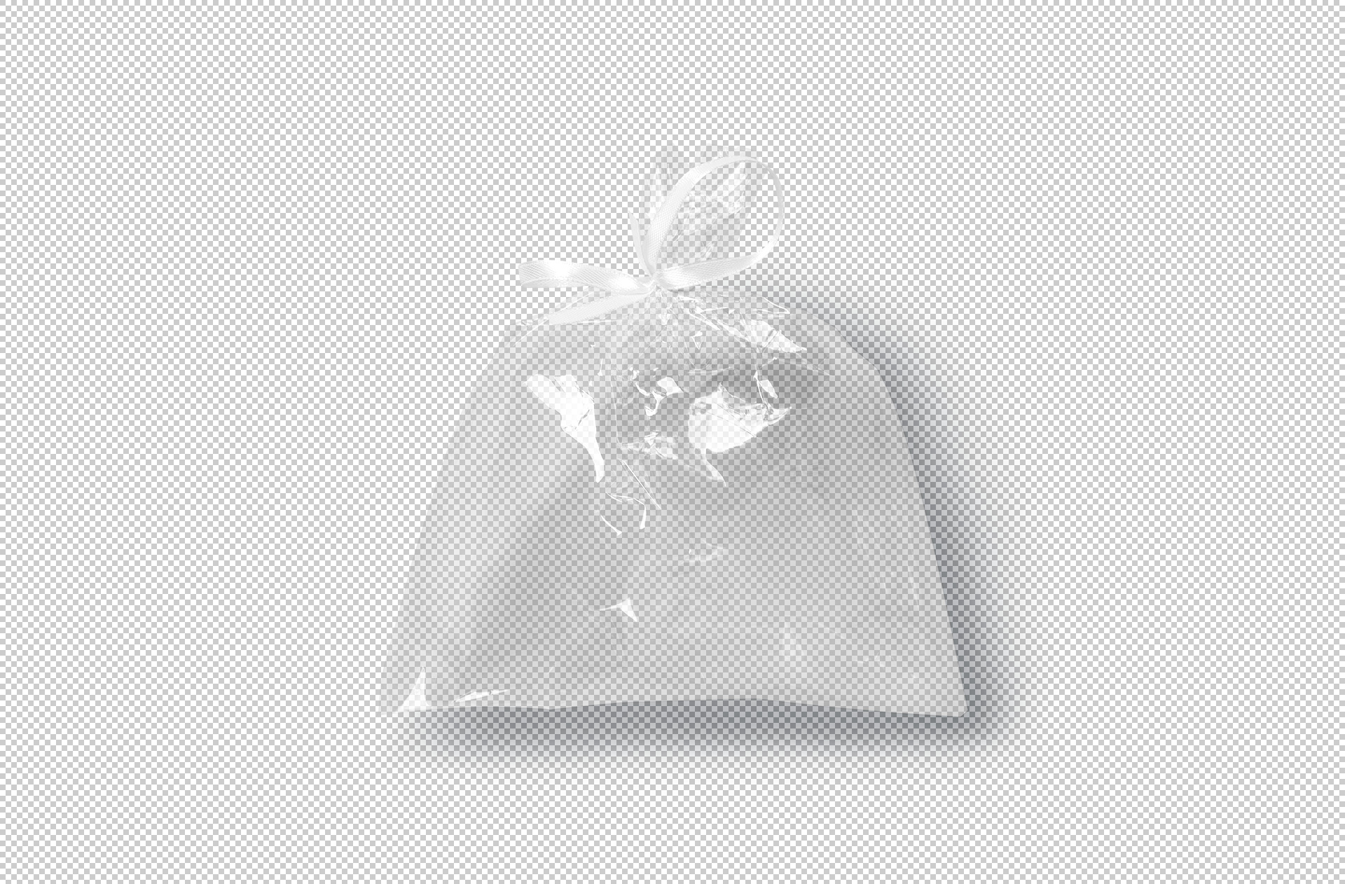 gift packaging mock-up