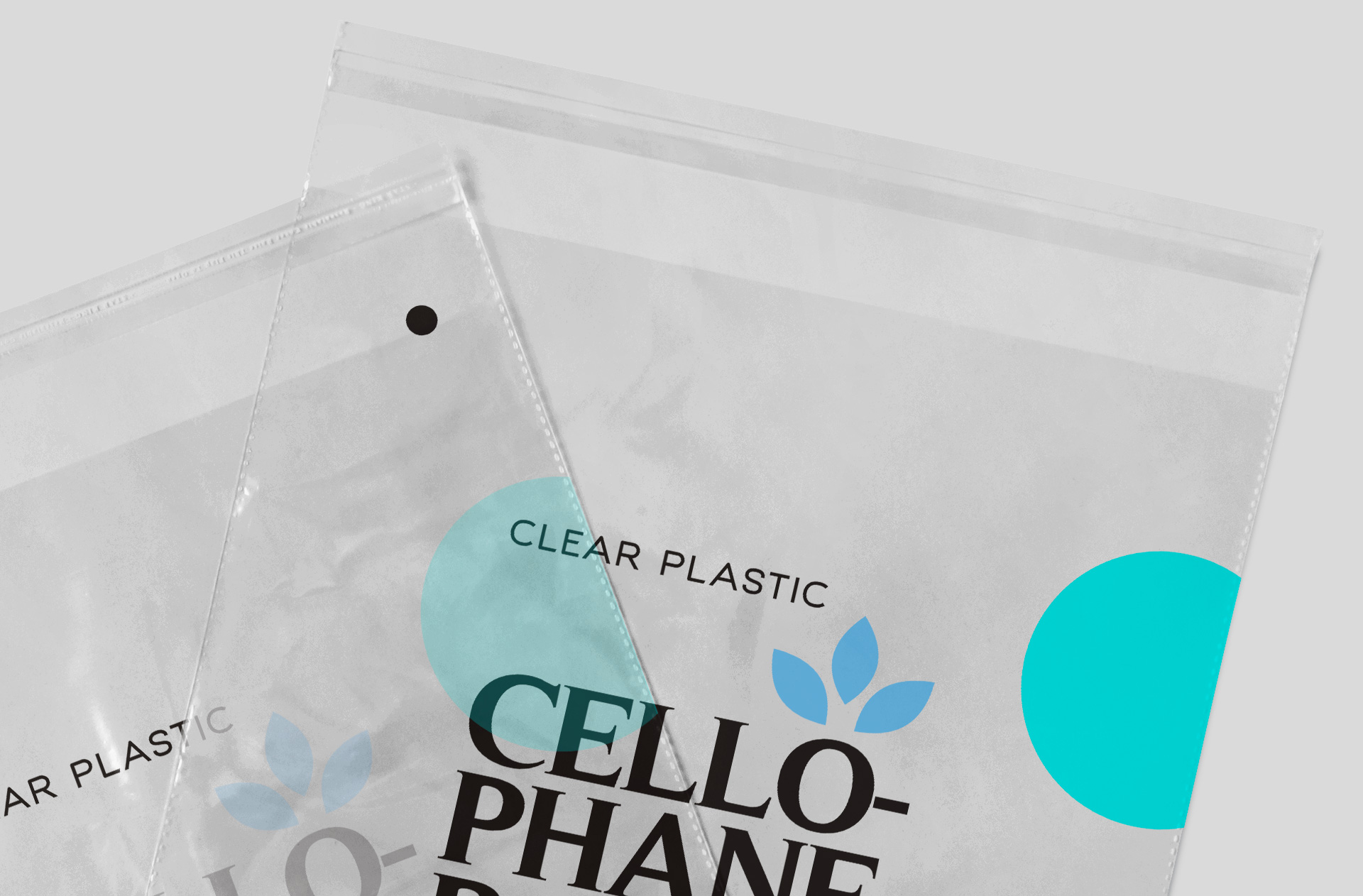 clear plastic pouch mock-up