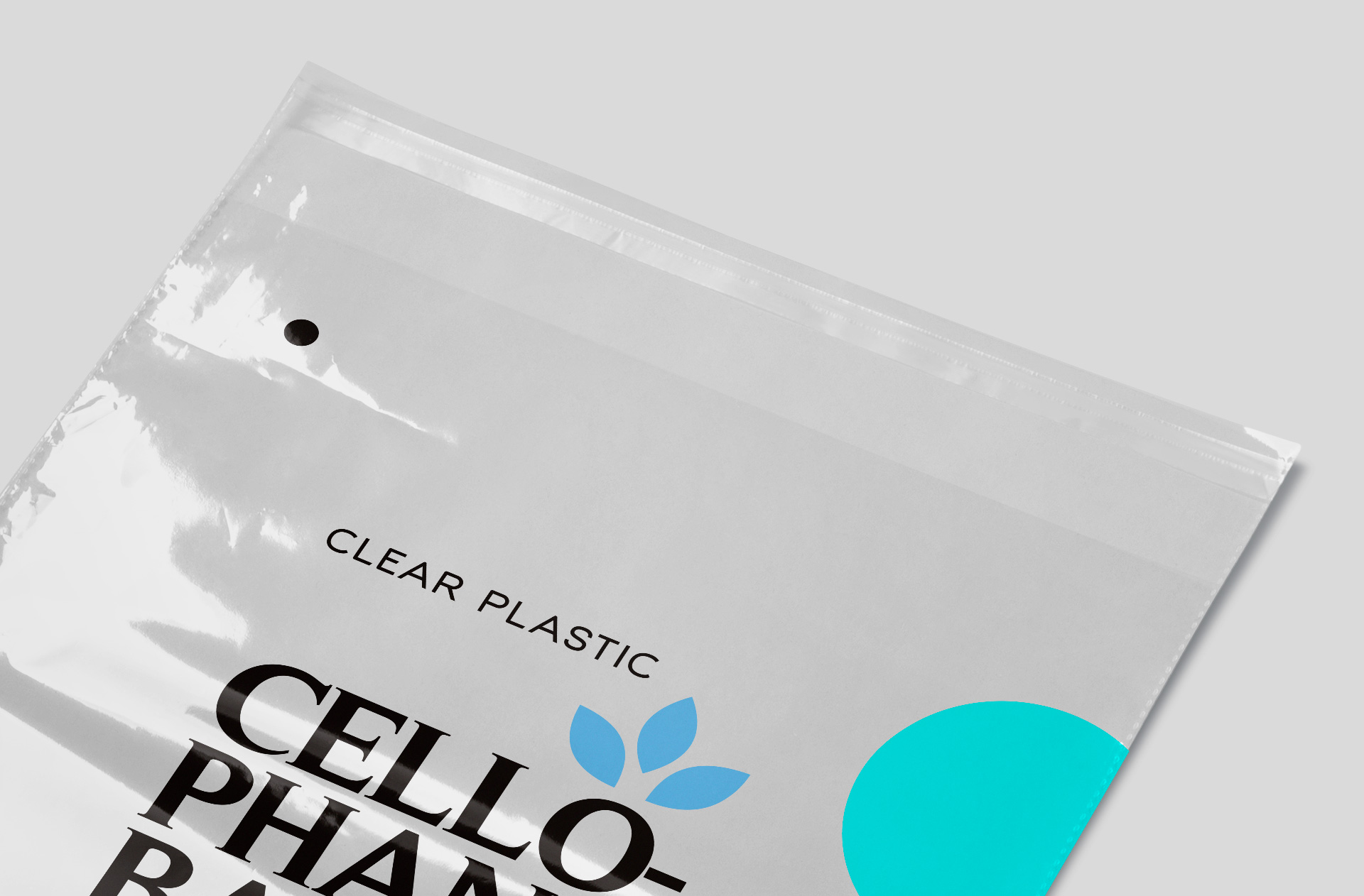 clear plastic pouch mock-up