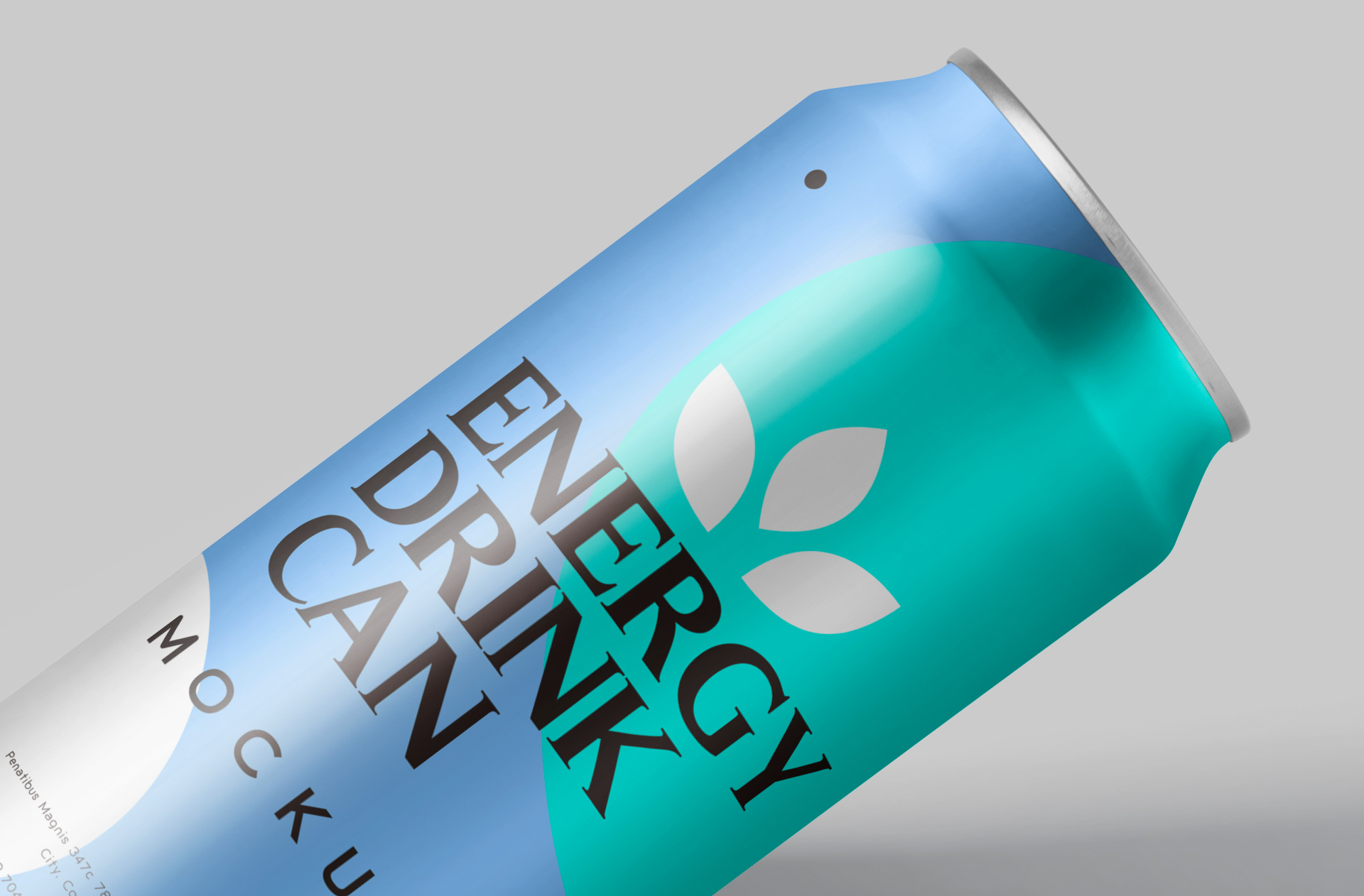 330ml can