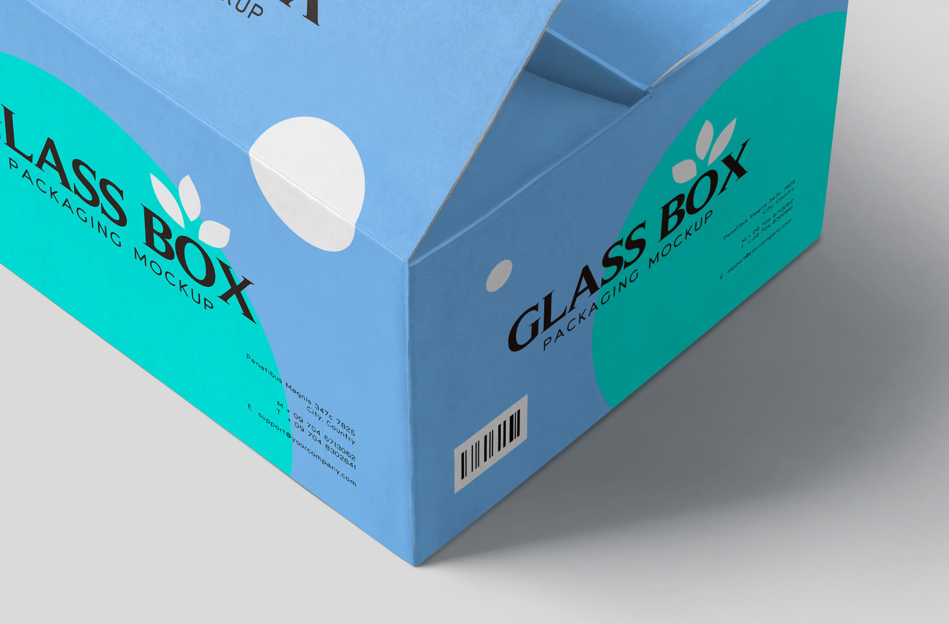 3D box mockup
