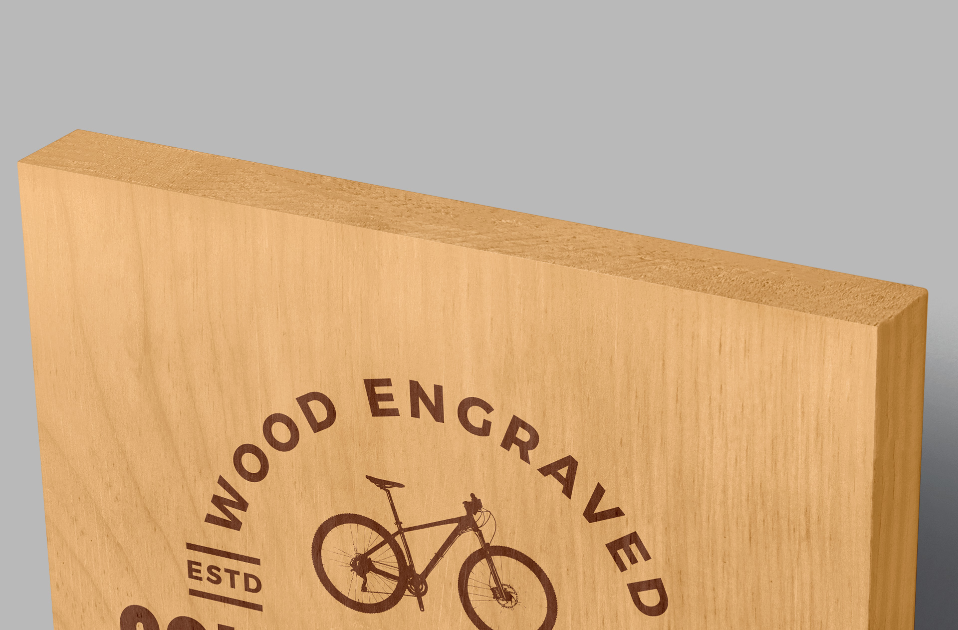 professional branding mock-up