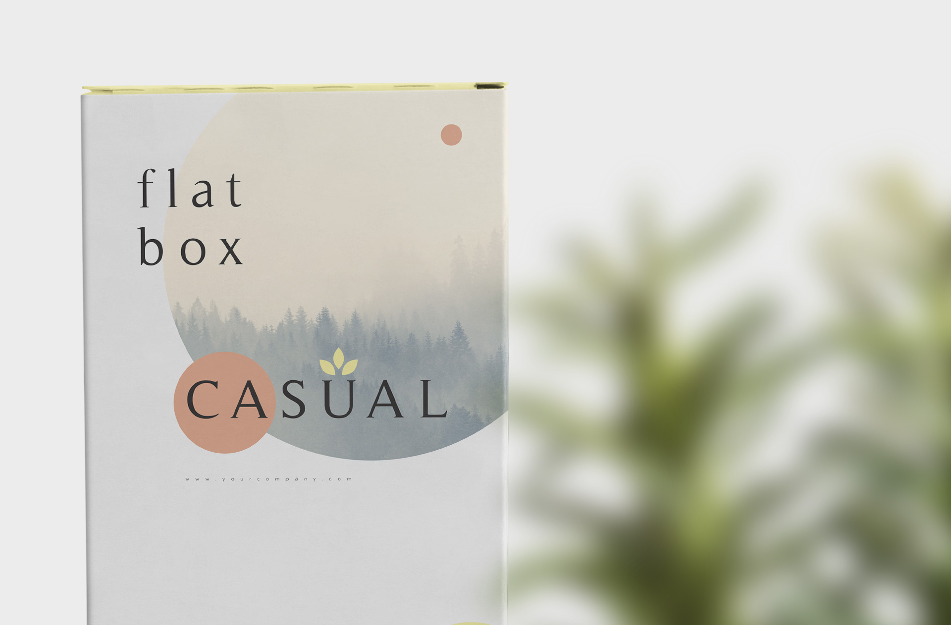bold branding PSD